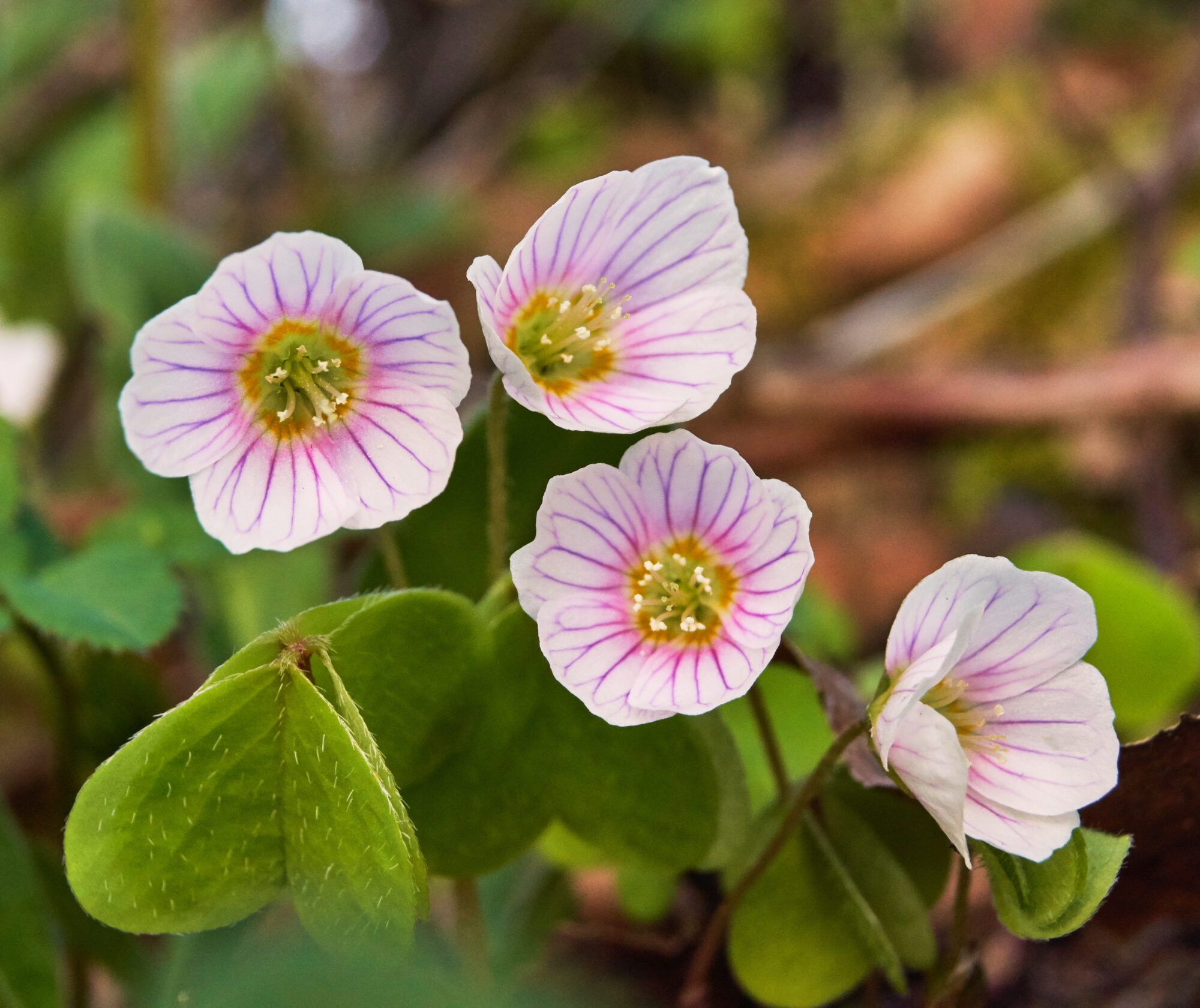 Valokuvaaja: Tarja Kouvo