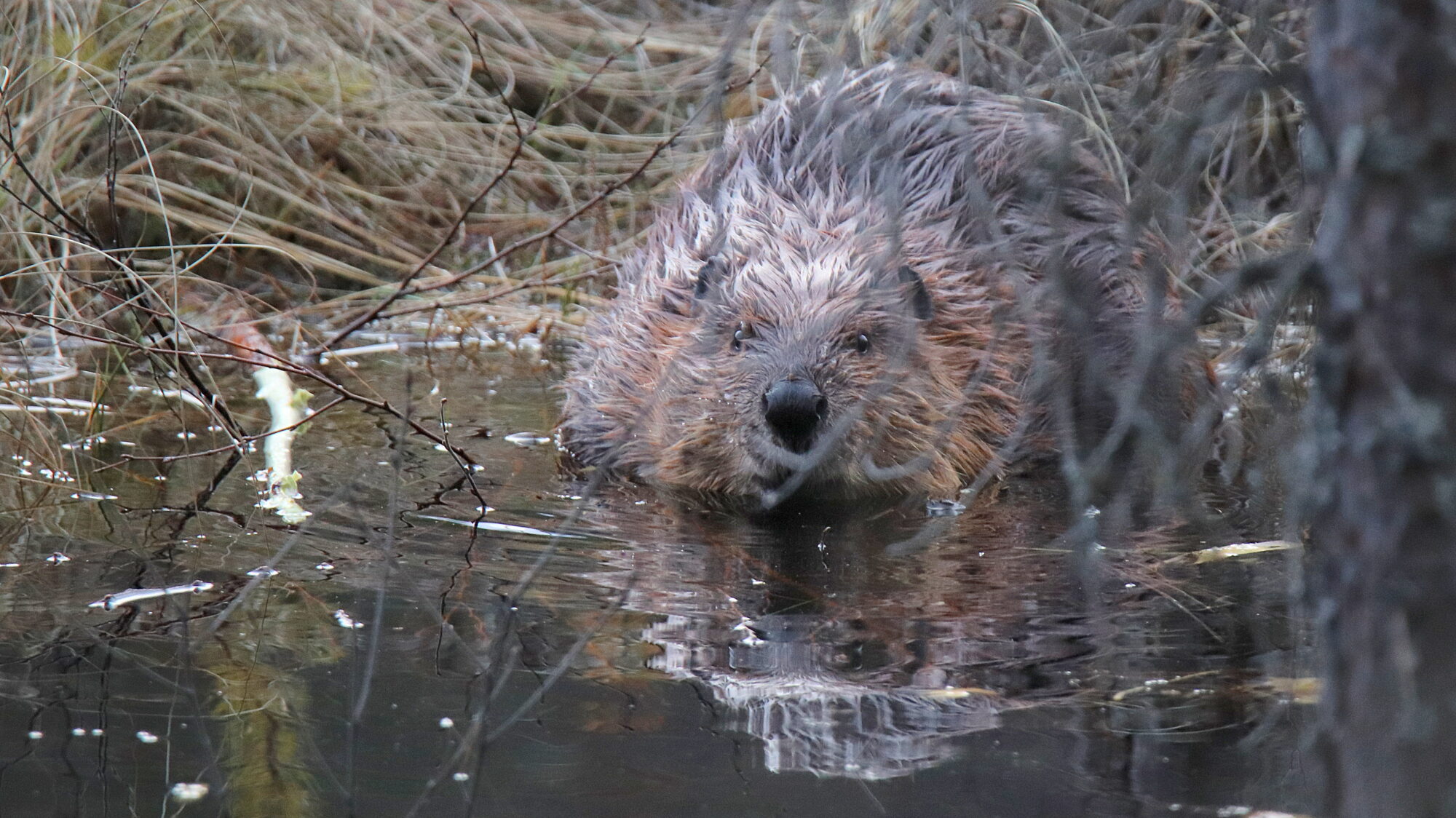 Valokuvaaja: sirpa Jyske Valokuvaaja: sirpa Jyske