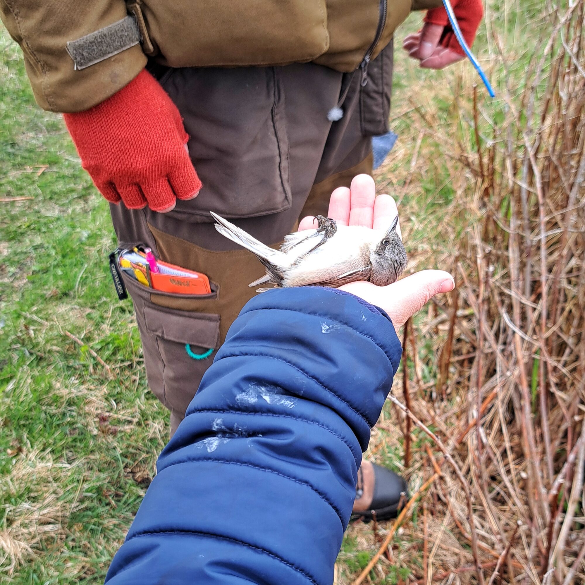 Valokuvaaja: Ari-Pekka Henttula