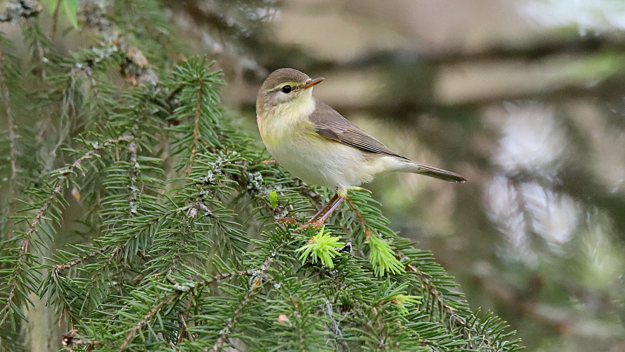 Valokuvaaja: sirpa Jyske Valokuvaaja: sirpa Jyske