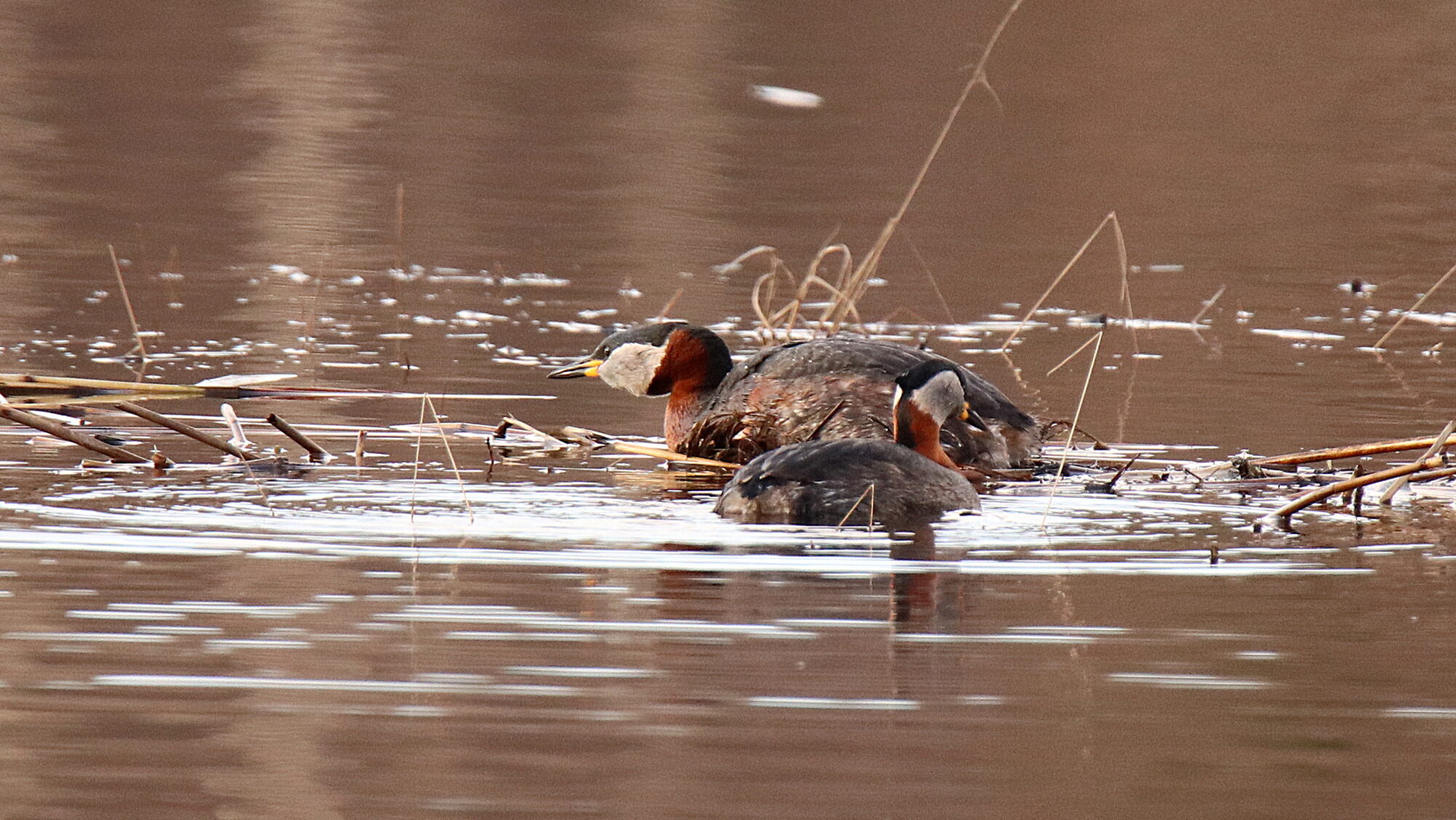 Valokuvaaja: sirpa Jyske
