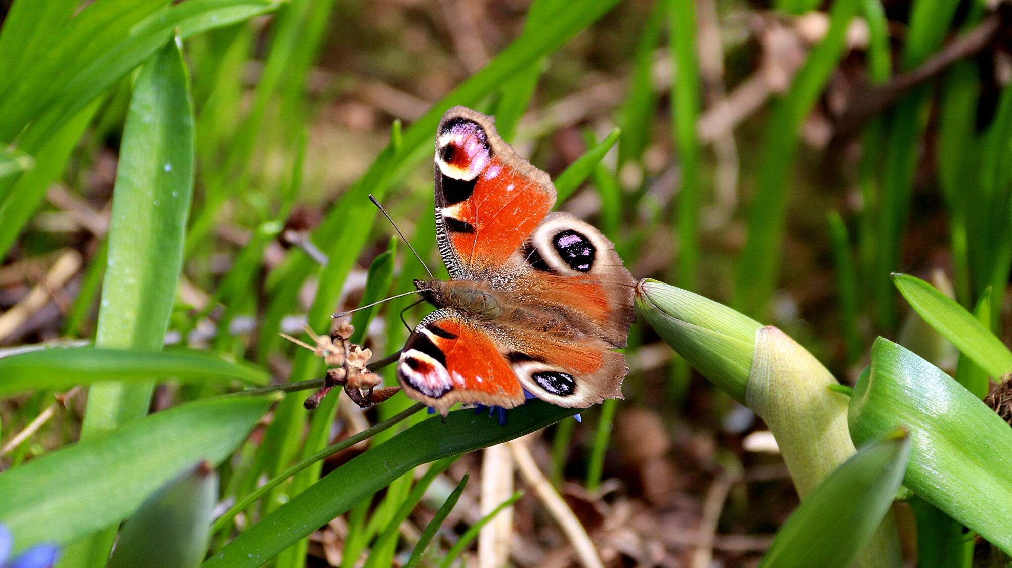 Valokuvaaja: sirpa Jyske