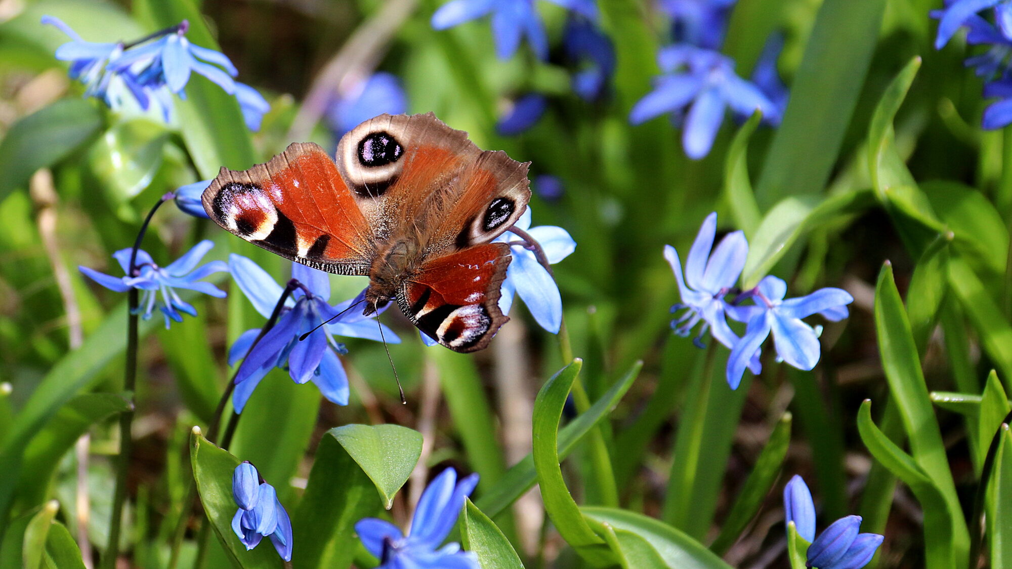 Valokuvaaja: sirpa Jyske