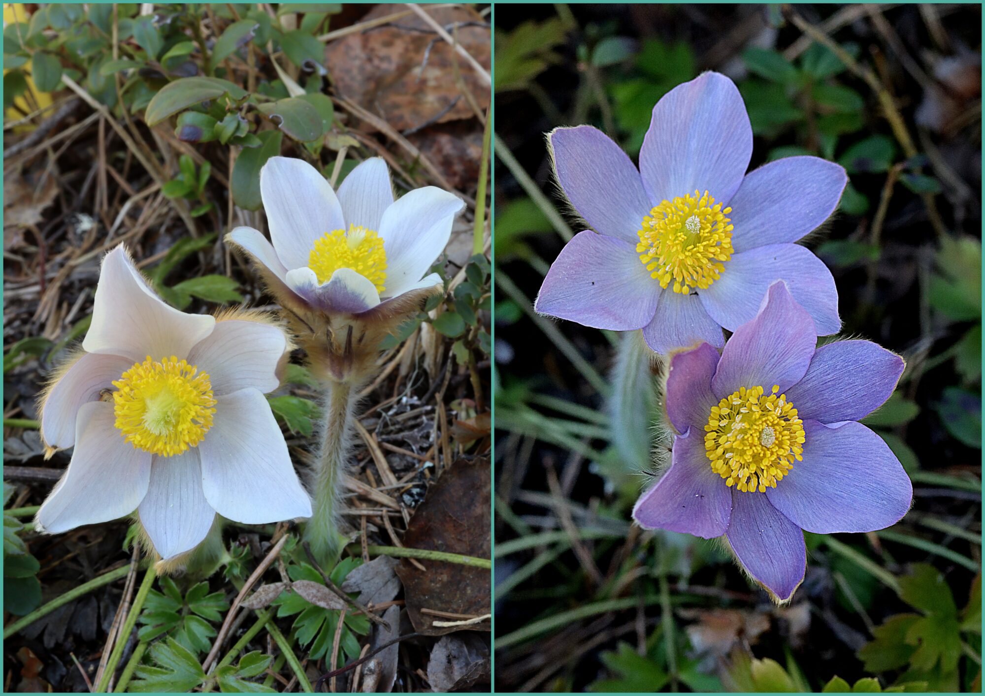 Valokuvaaja: Hannu Rasiranta