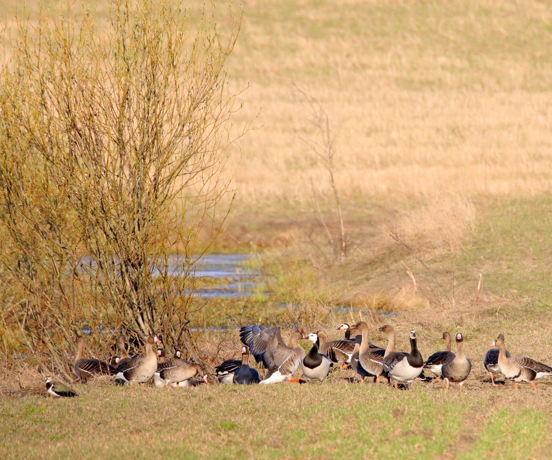Valokuvaaja: Irja Lehtinen