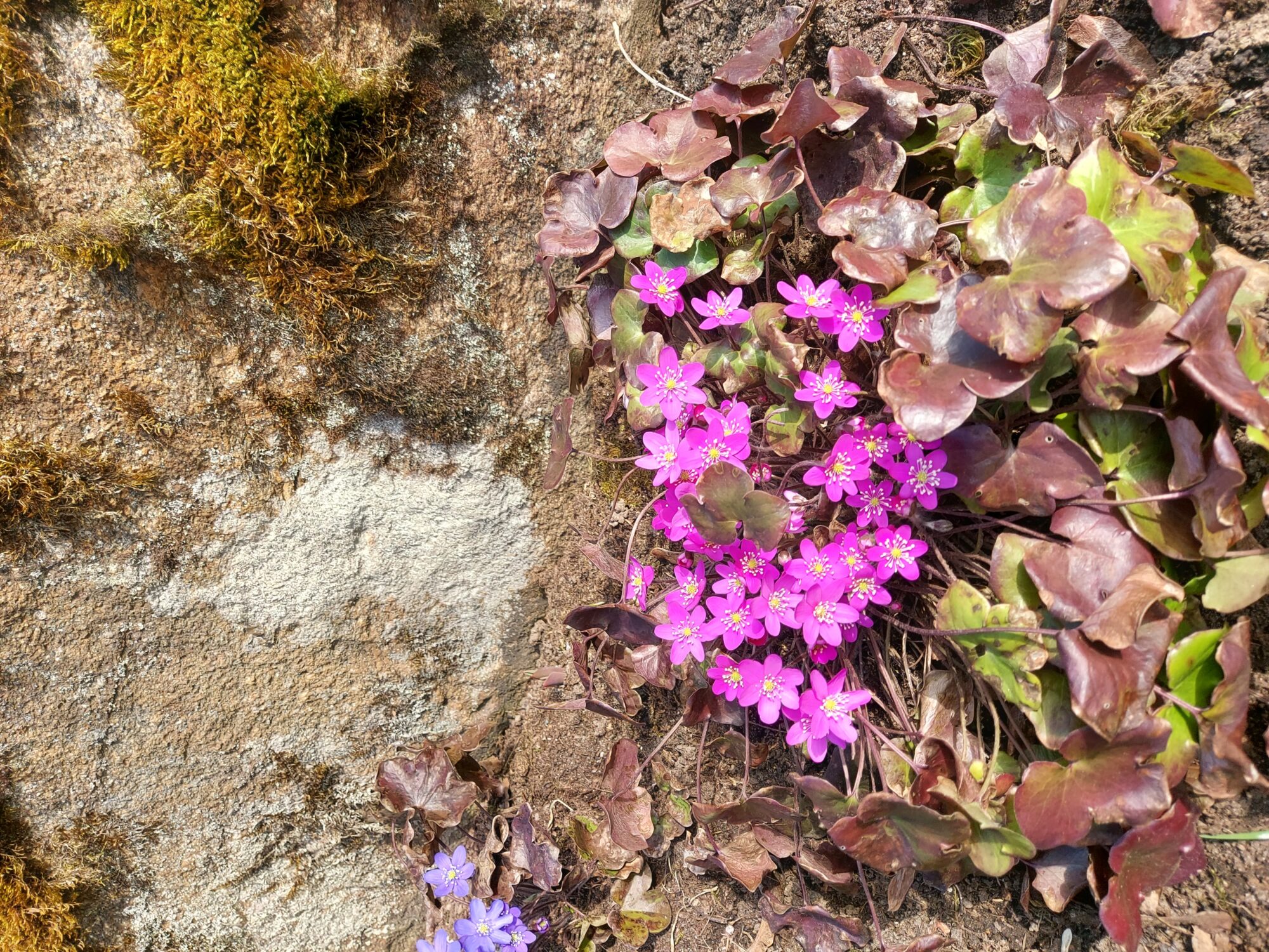 Valokuvaaja: Marianna Jalonen