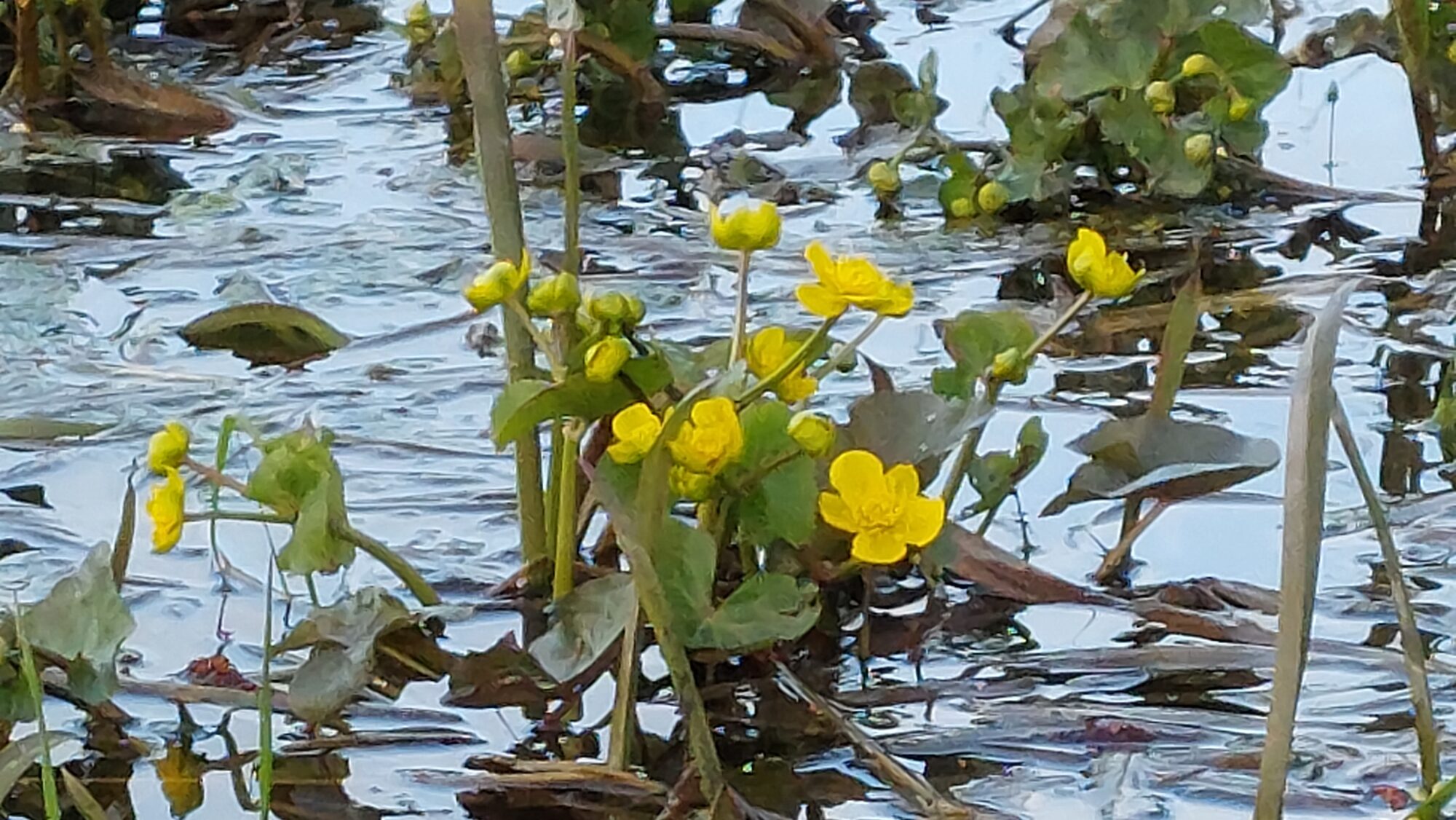 Valokuvaaja: Tarja Naukkarinen