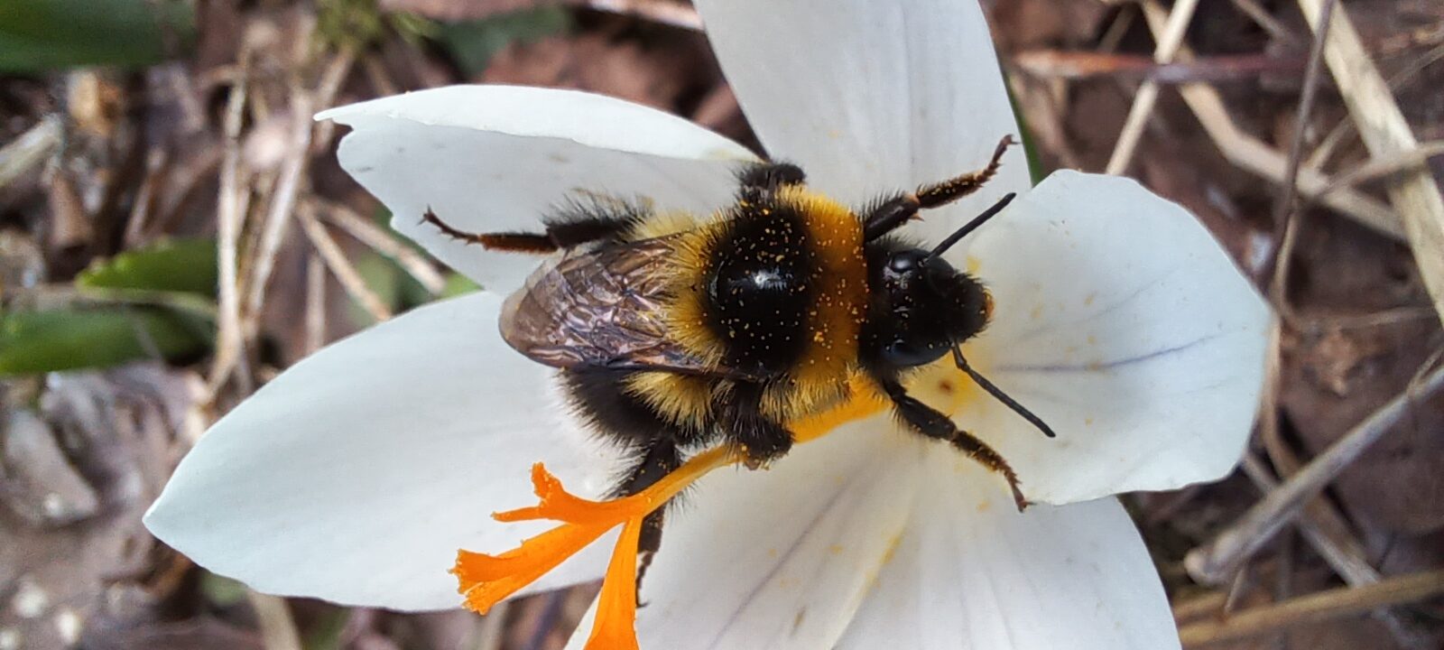Valokuvaaja: Tarja Hänninen