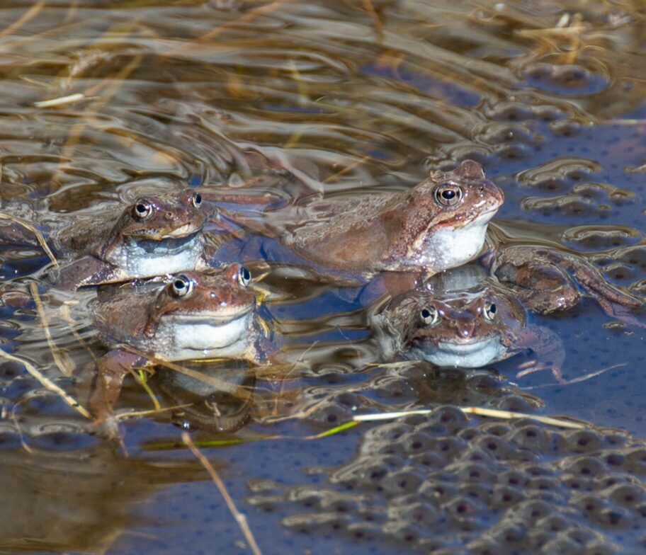 Valokuvaaja: Helena Minkkilä