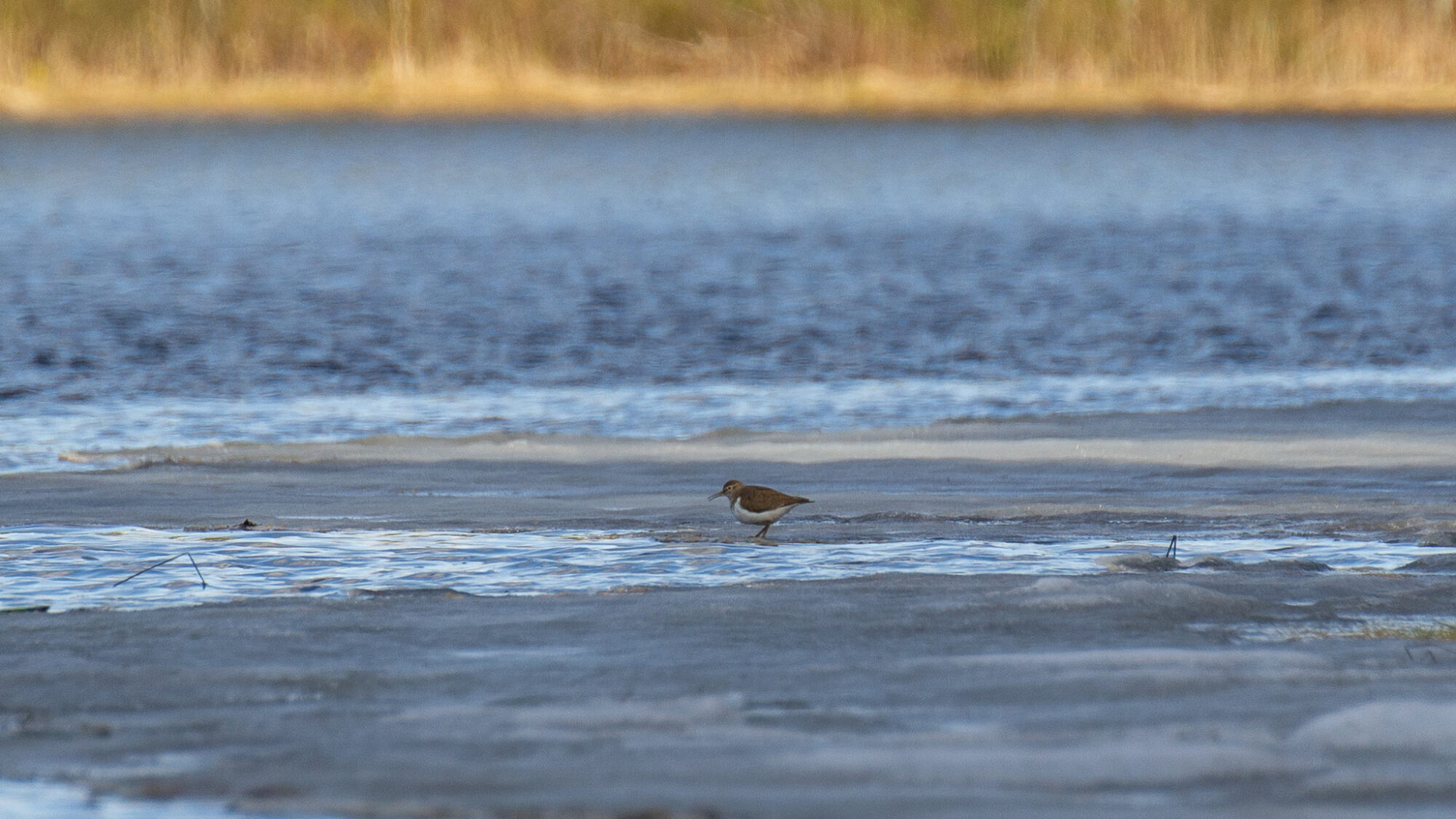 Valokuvaaja: Helena Minkkilä