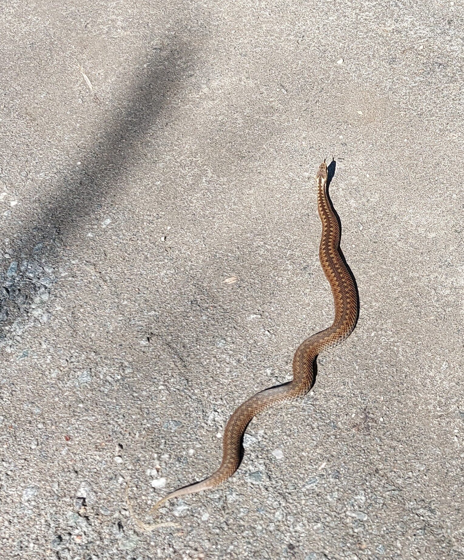 Valokuvaaja: Marianna Jalonen Valokuvaaja: Marianna Jalonen