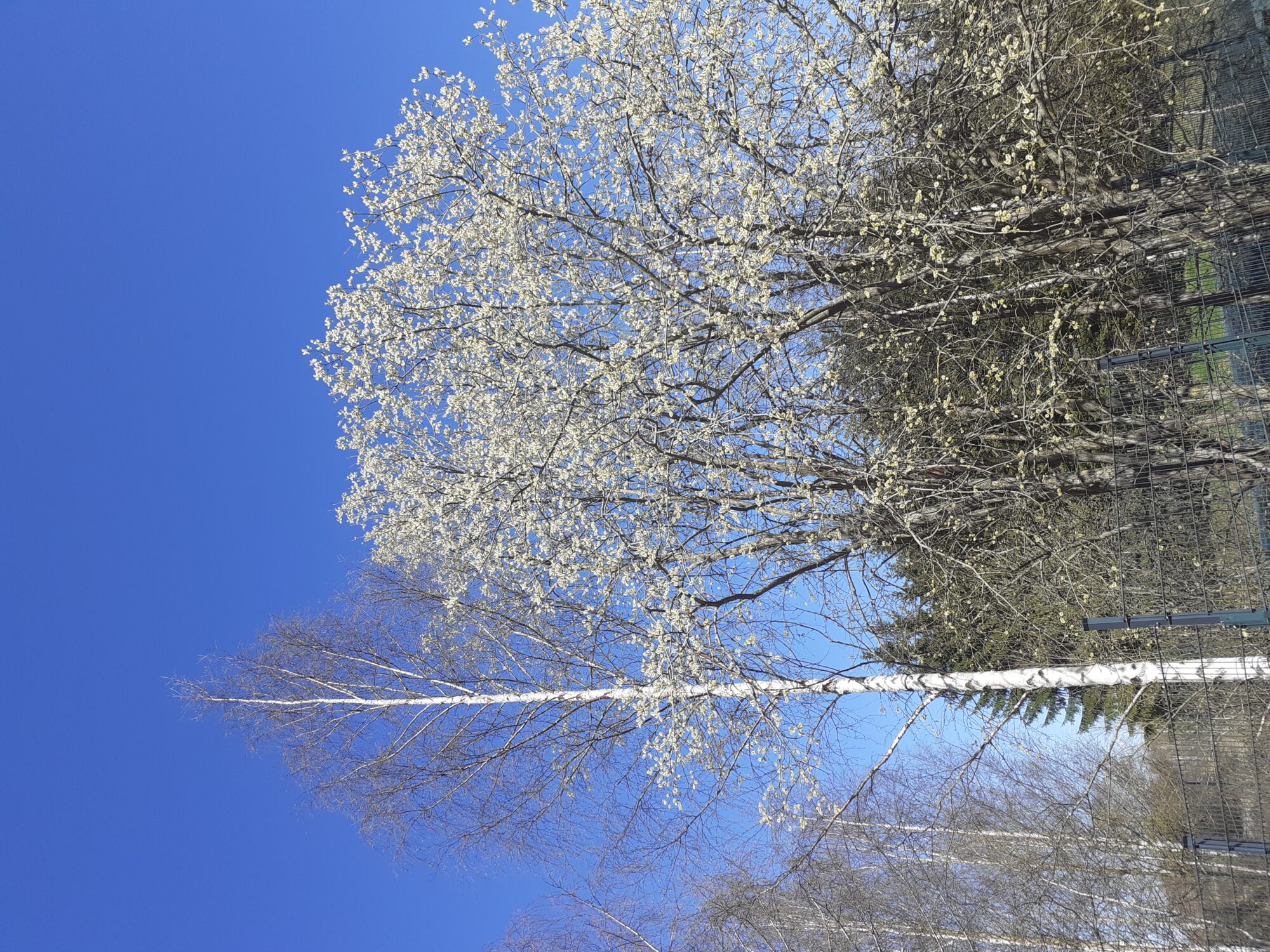 Valokuvaaja: Eeva-Liisa Ilvonen