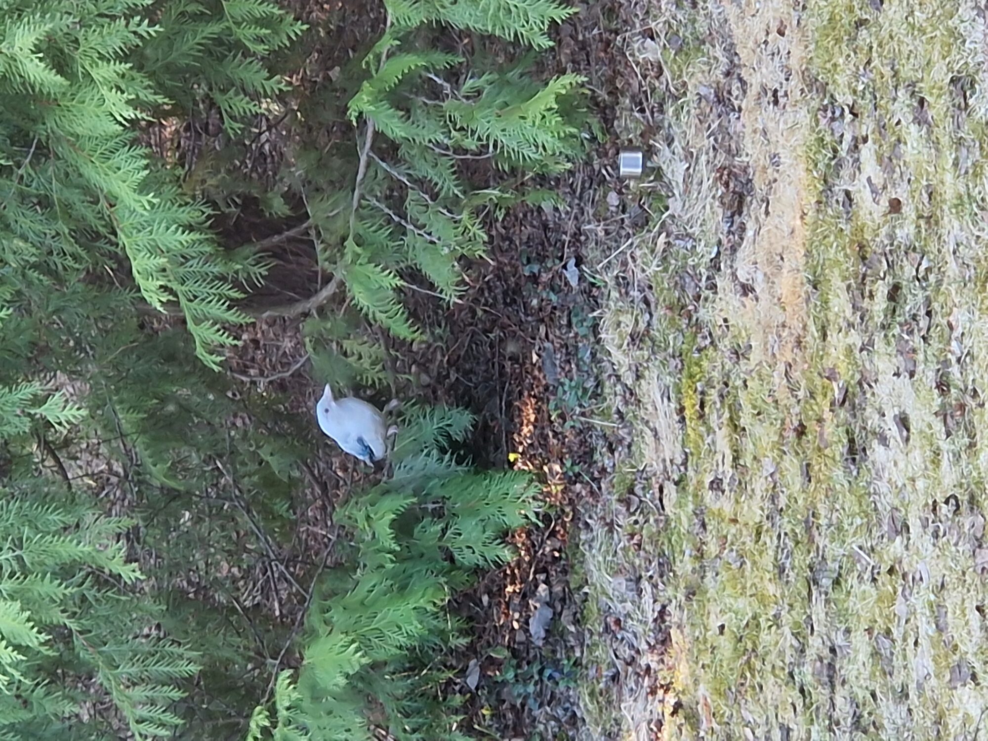 Valokuvaaja: Eveliina Laitinen Valokuvaaja: Eveliina Laitinen