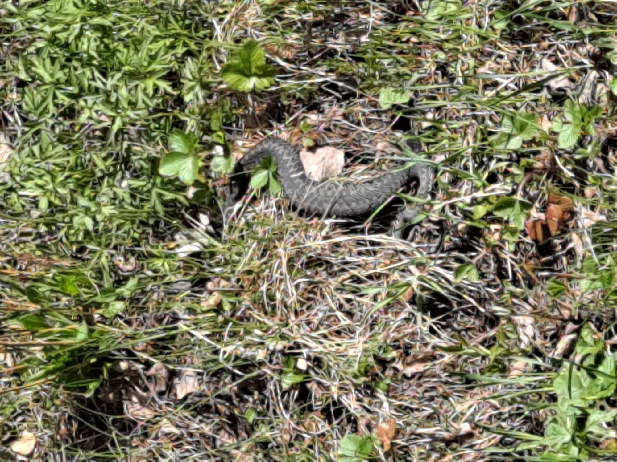 Valokuvaaja: Satu Suuntala