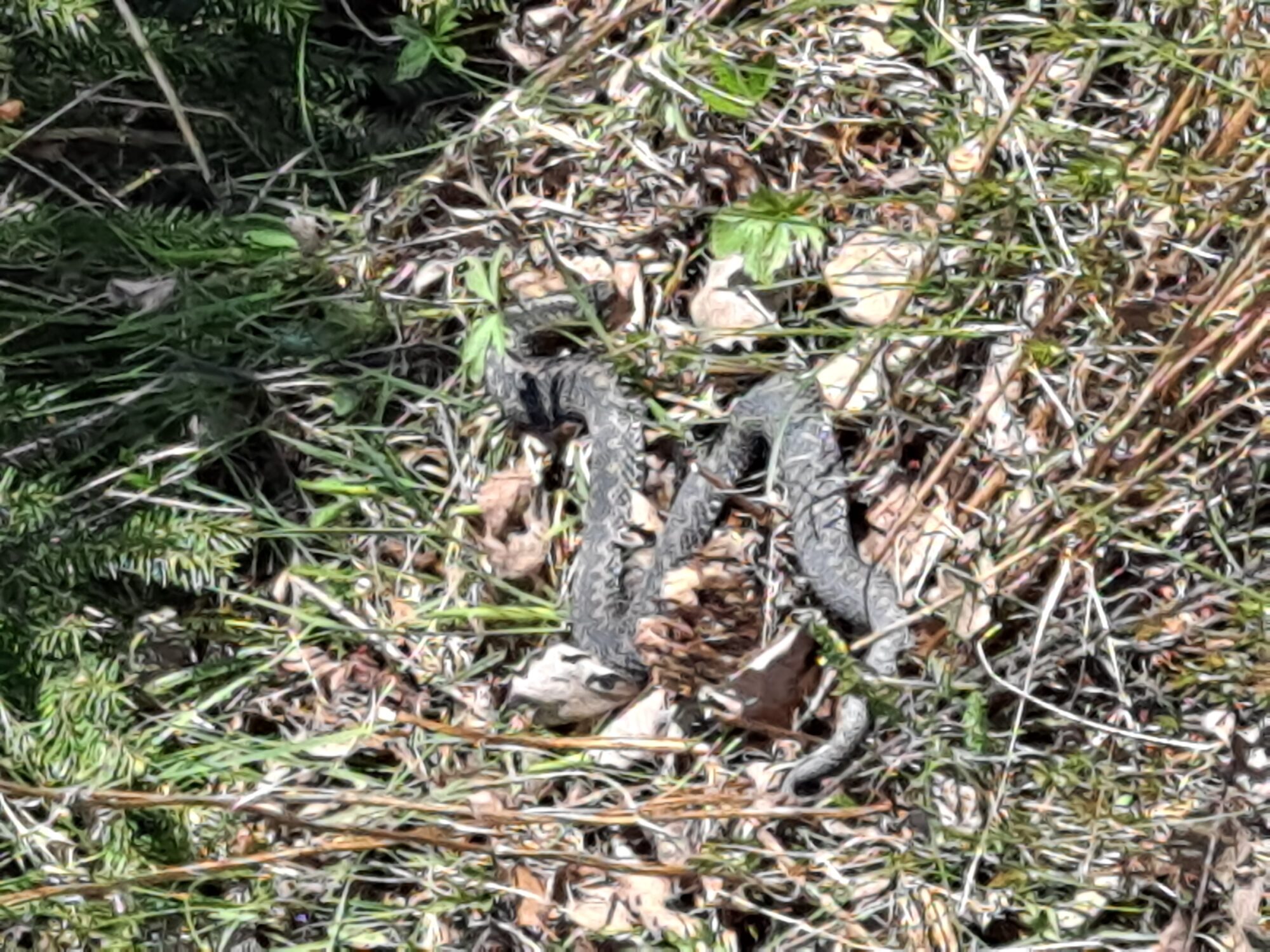 Valokuvaaja: Satu Suuntala