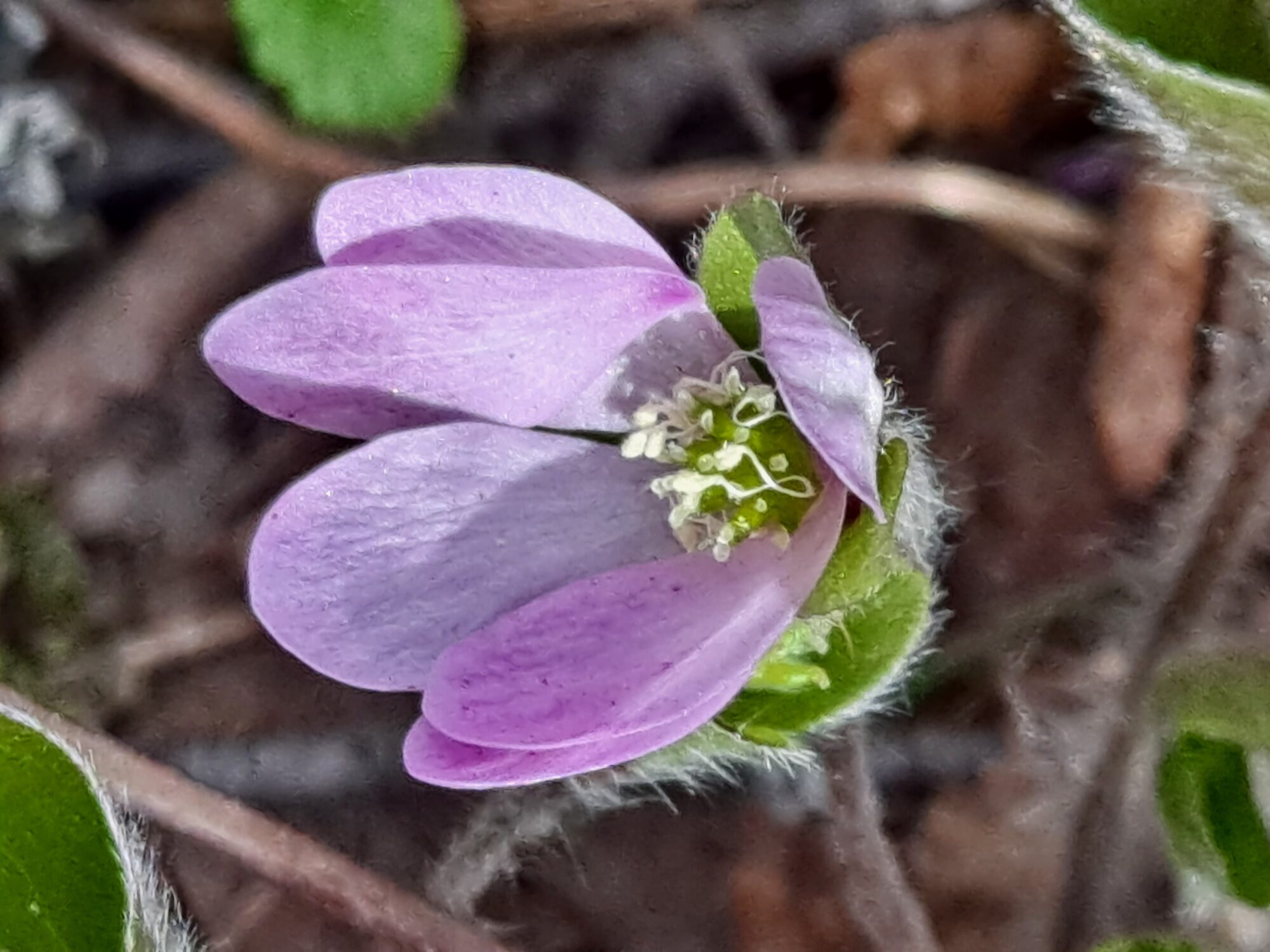 Valokuvaaja: Satu Suuntala