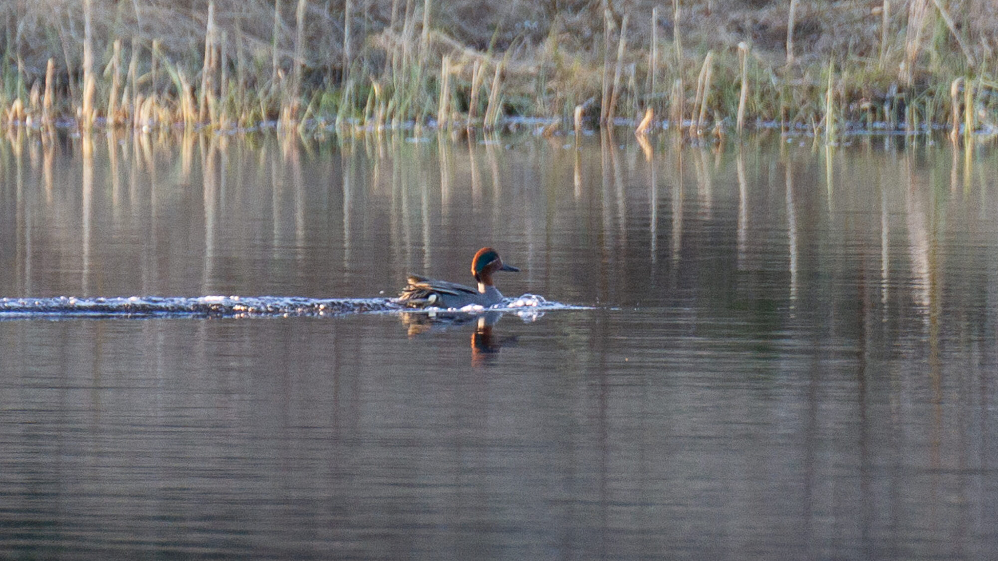 Valokuvaaja: Helena Minkkilä