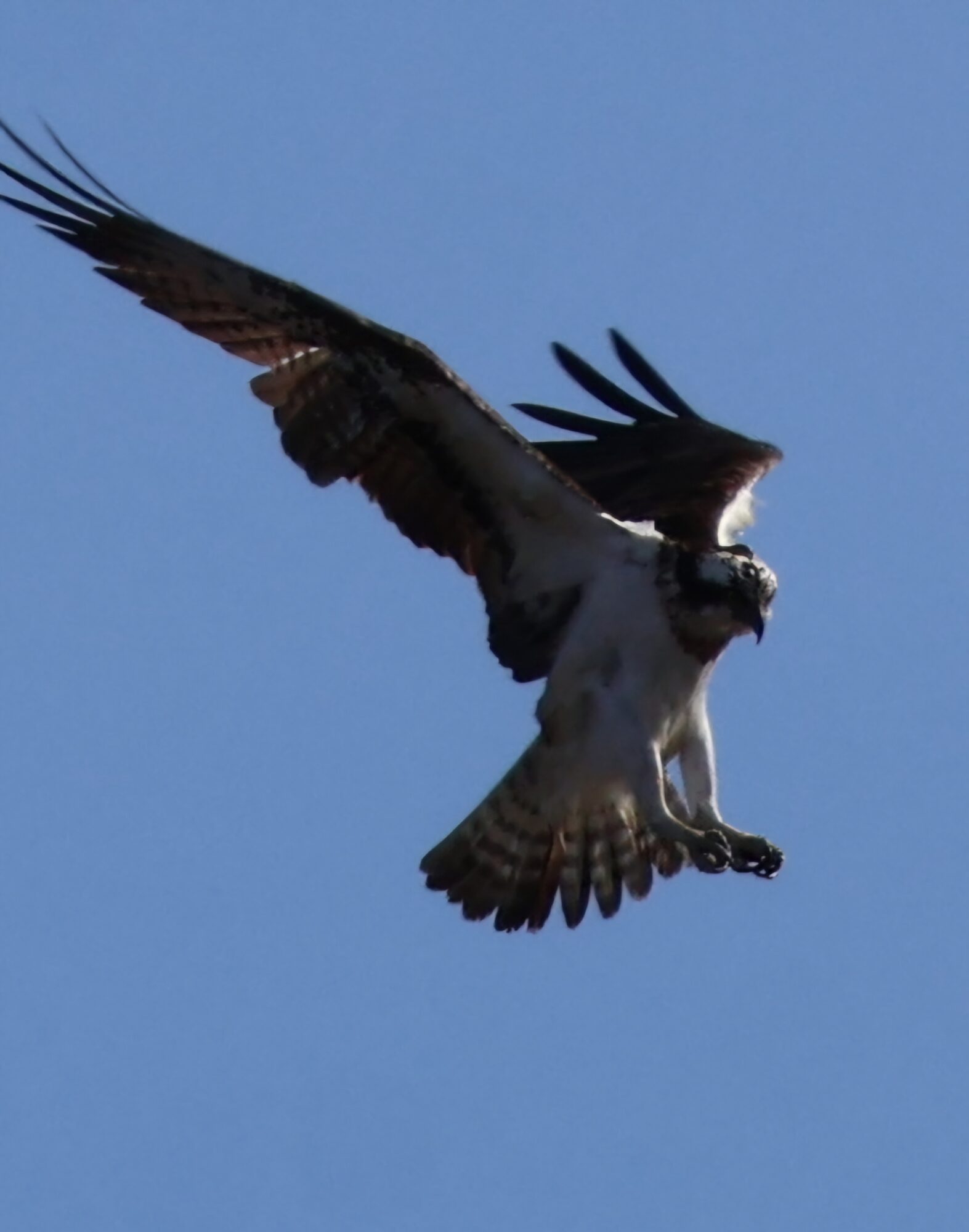 Valokuvaaja: Hanna Rönty