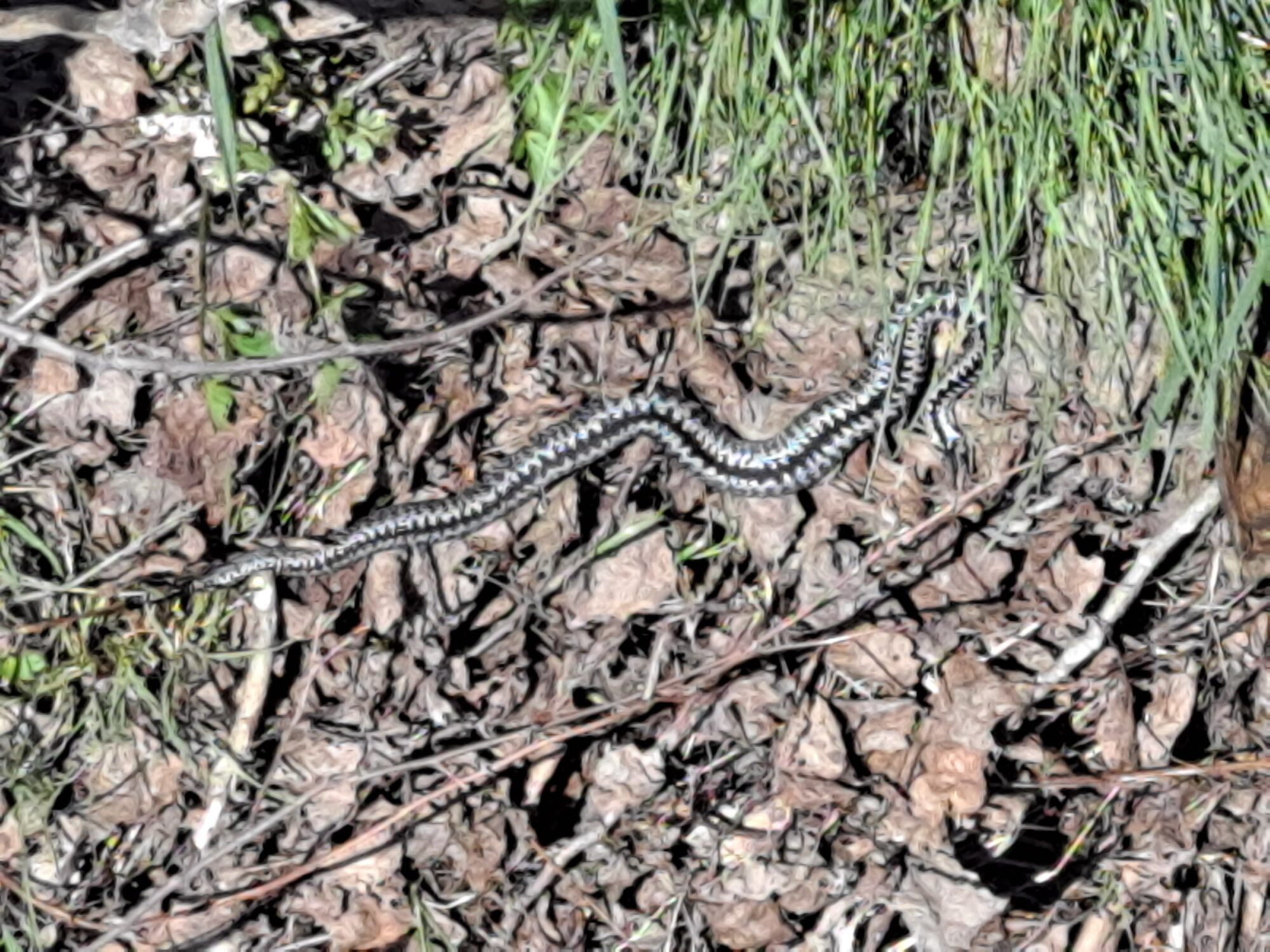 Valokuvaaja: Satu Suuntala