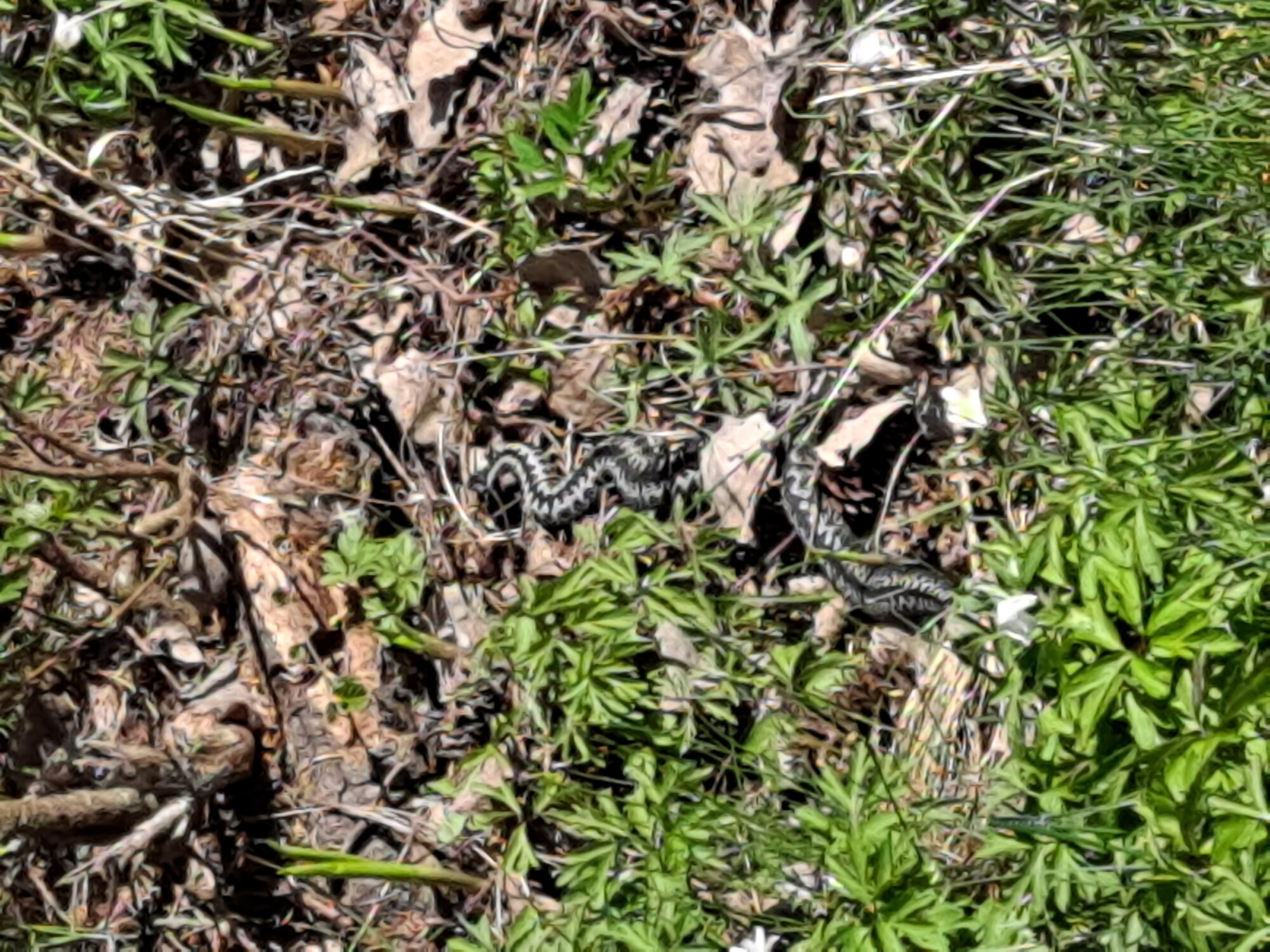 Valokuvaaja: Satu Suuntala