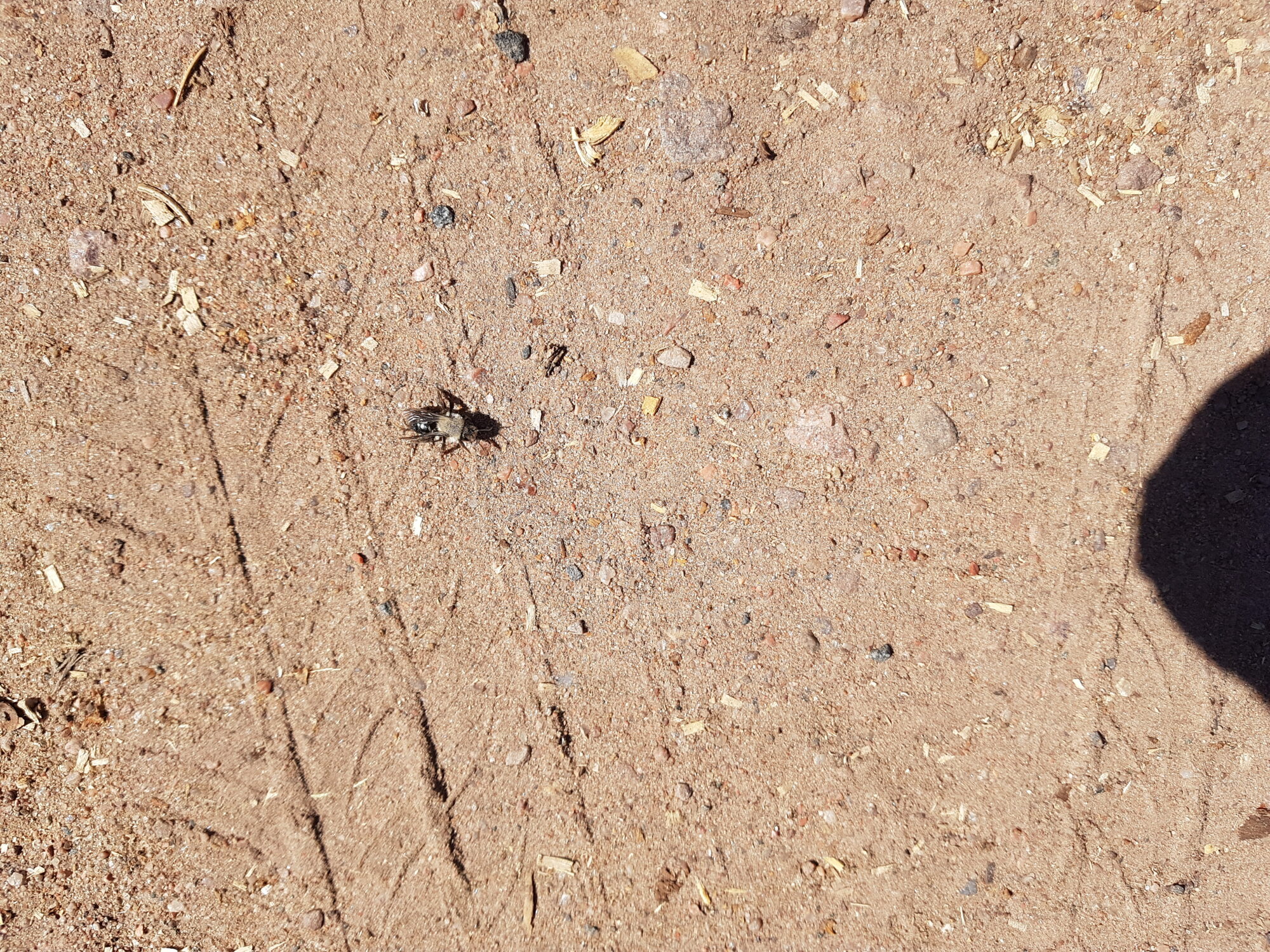 Valokuvaaja: Petri Mylläri