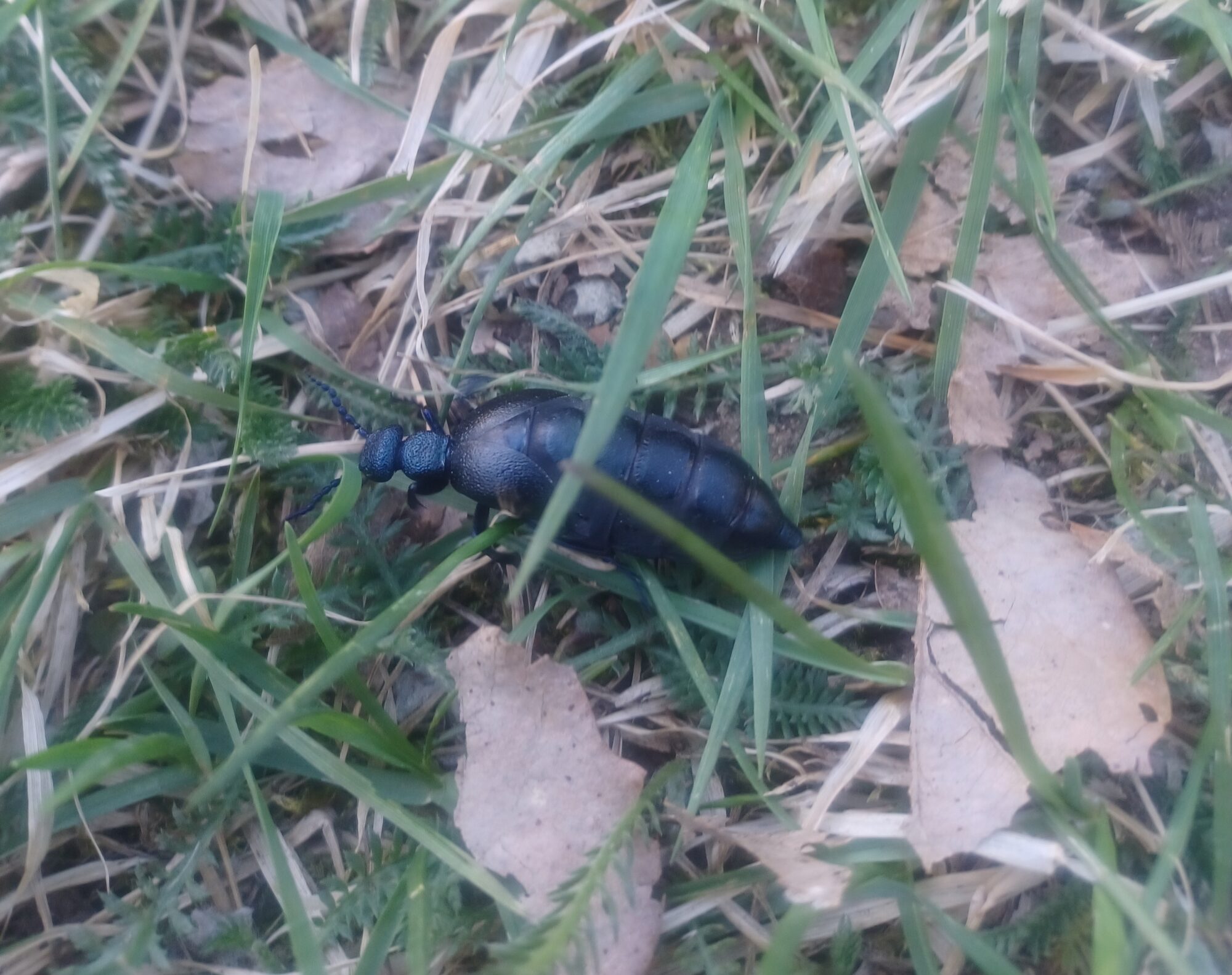 Valokuvaaja: Marita Sammatti