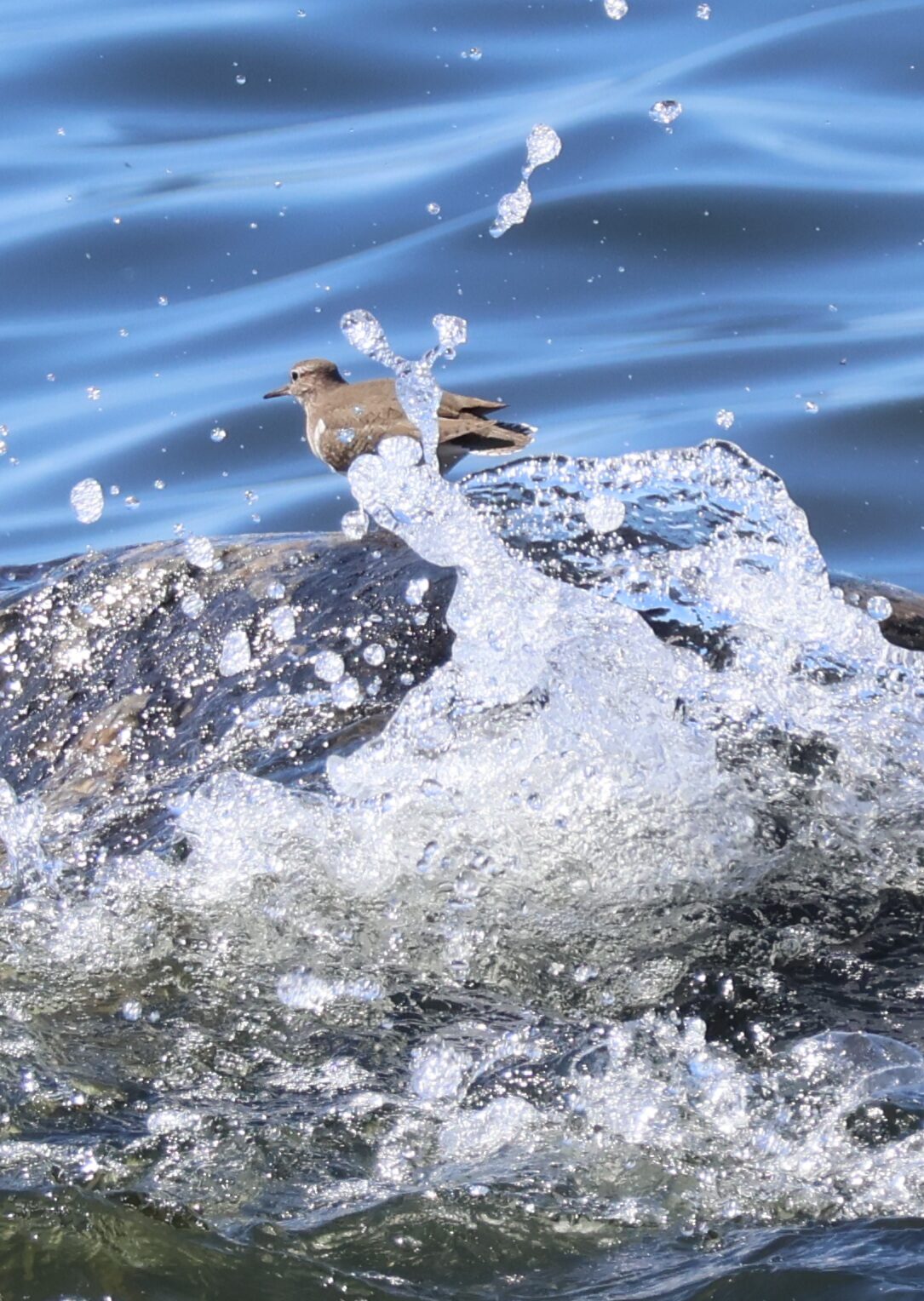 Valokuvaaja: Hanna Rönty Valokuvaaja: Hanna Rönty