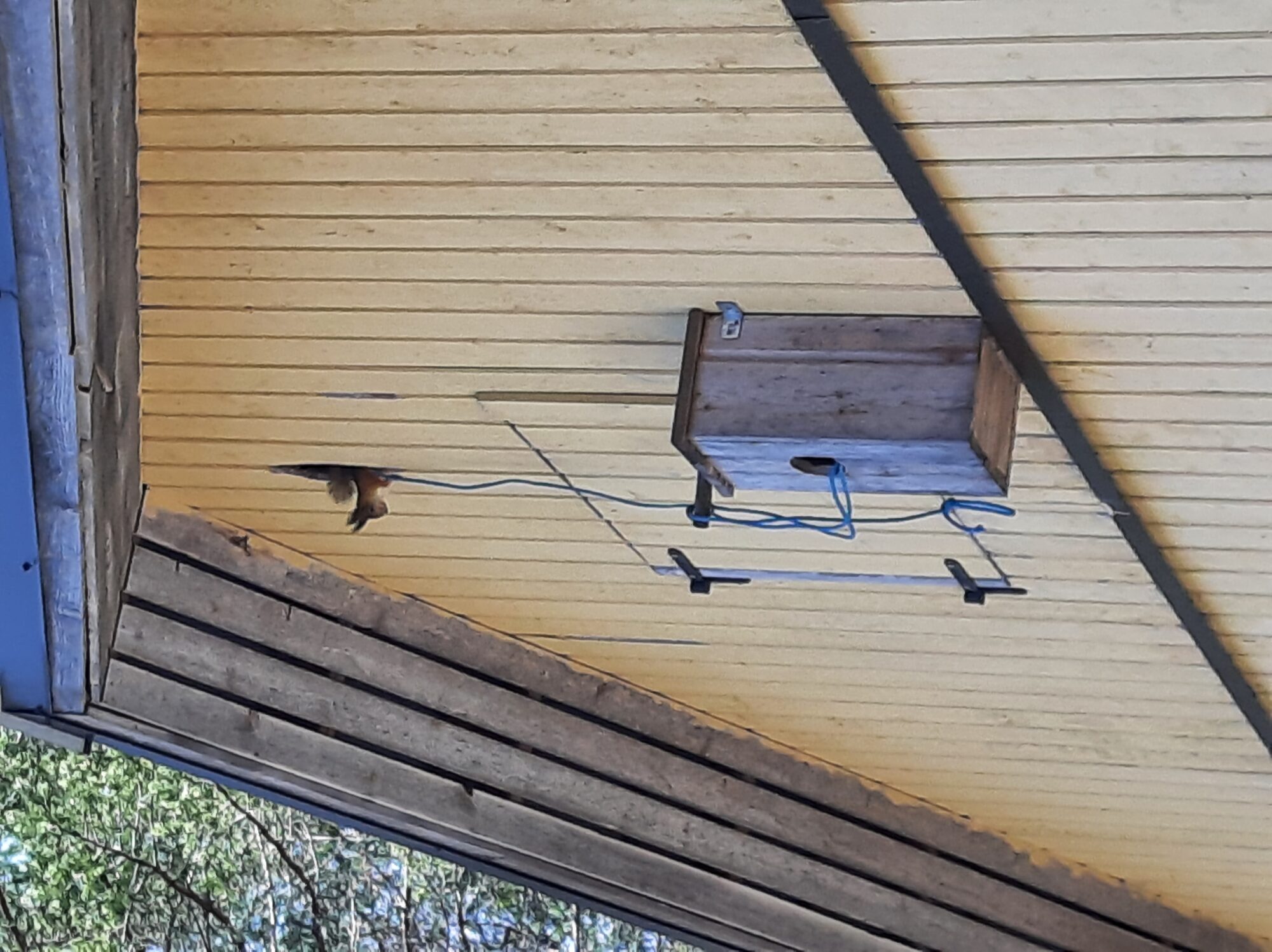 Valokuvaaja: Auli Feldt