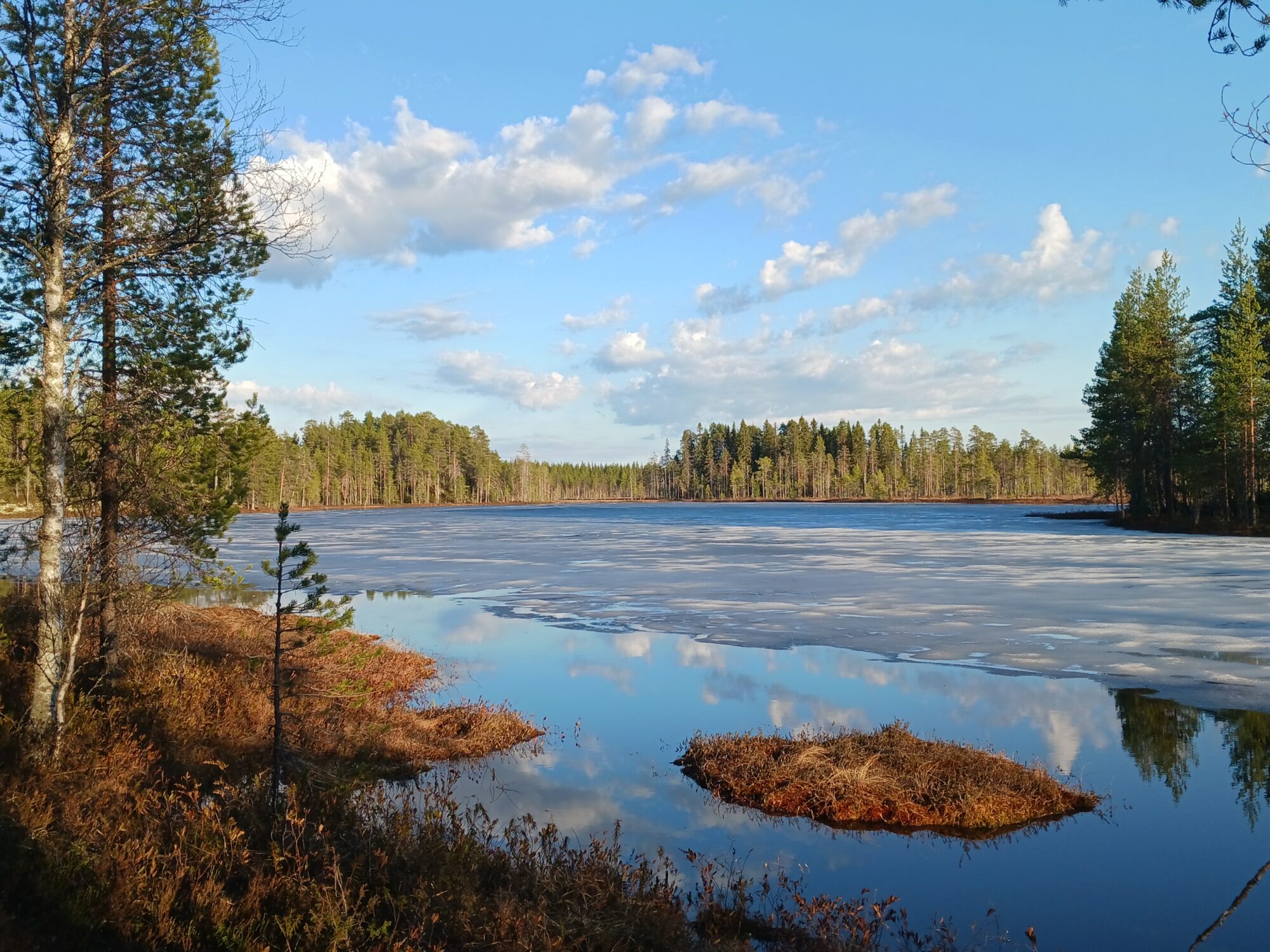 Valokuvaaja: Kaisa Avonius