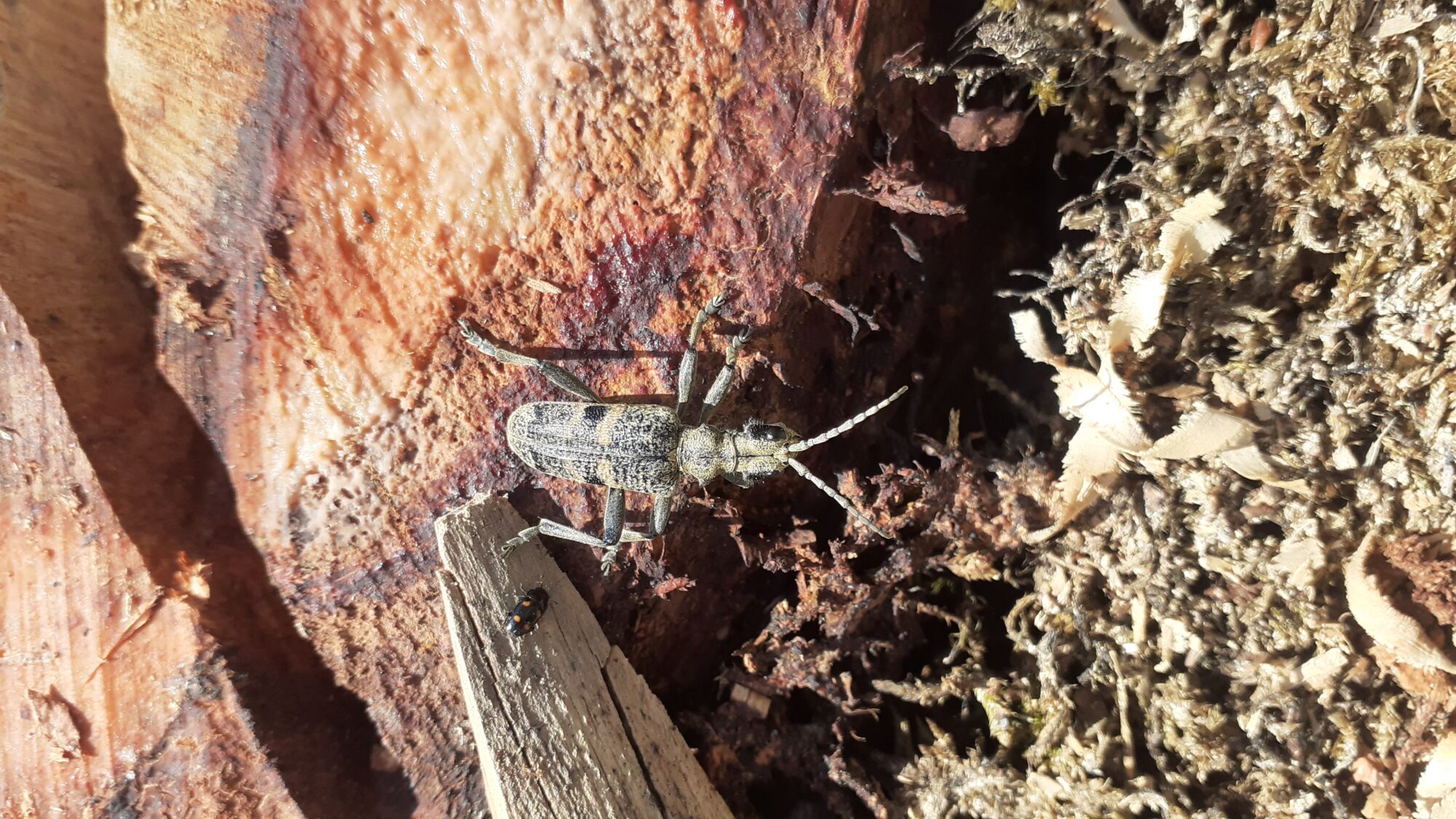 Valokuvaaja: Juha Koskinen