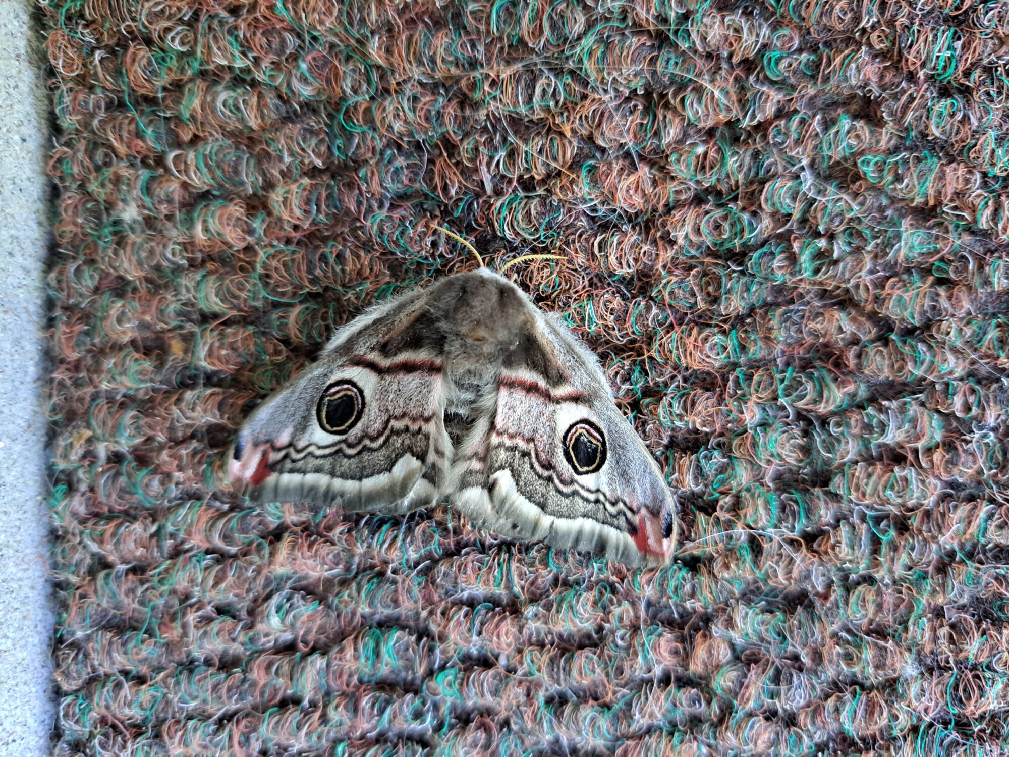 Valokuvaaja: Arja Pääkkölä