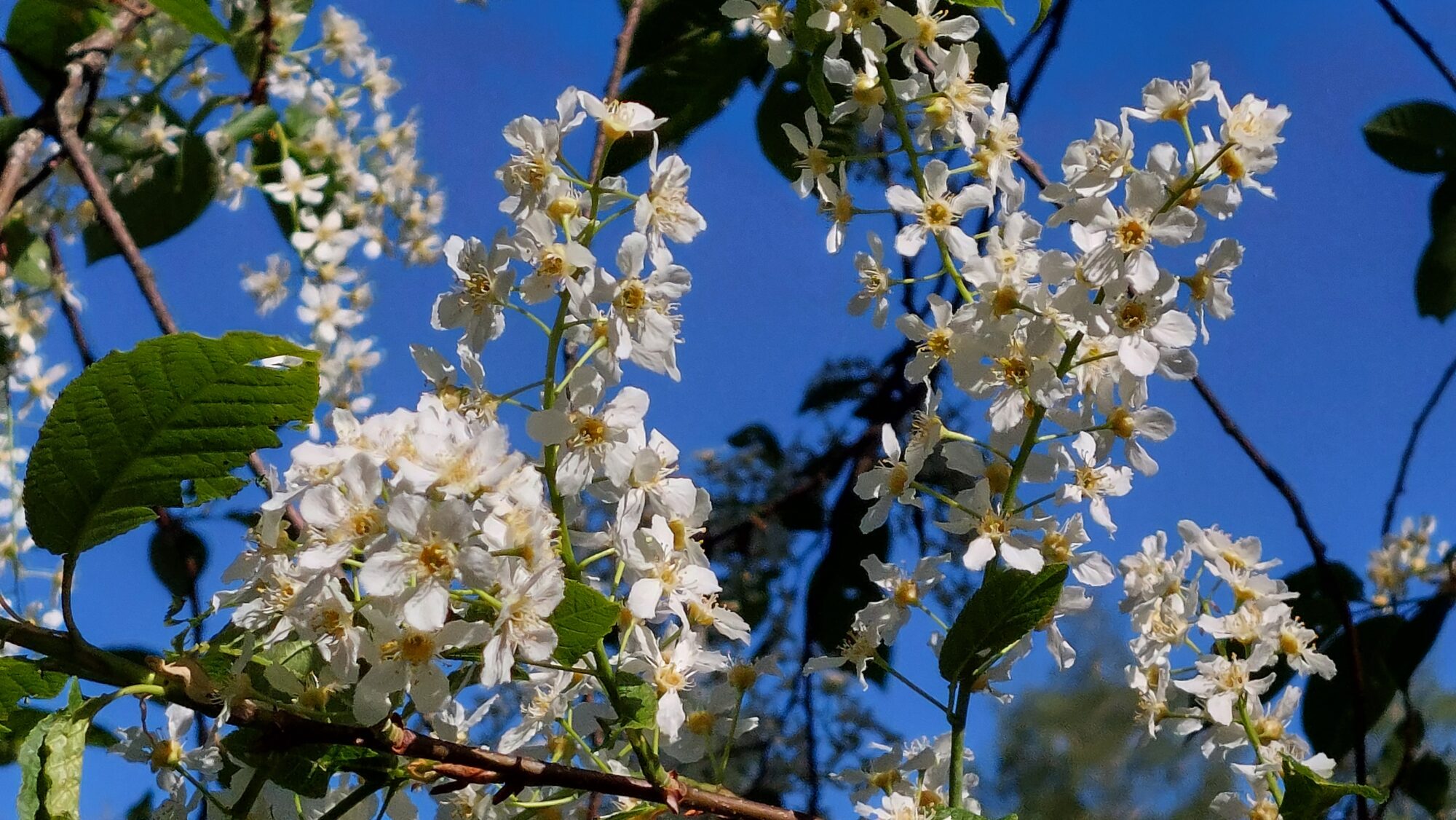 Valokuvaaja: Tarja Naukkarinen Valokuvaaja: Tarja Naukkarinen