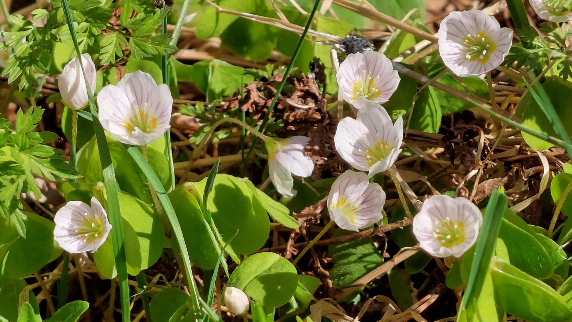 Valokuvaaja: Tarja Naukkarinen