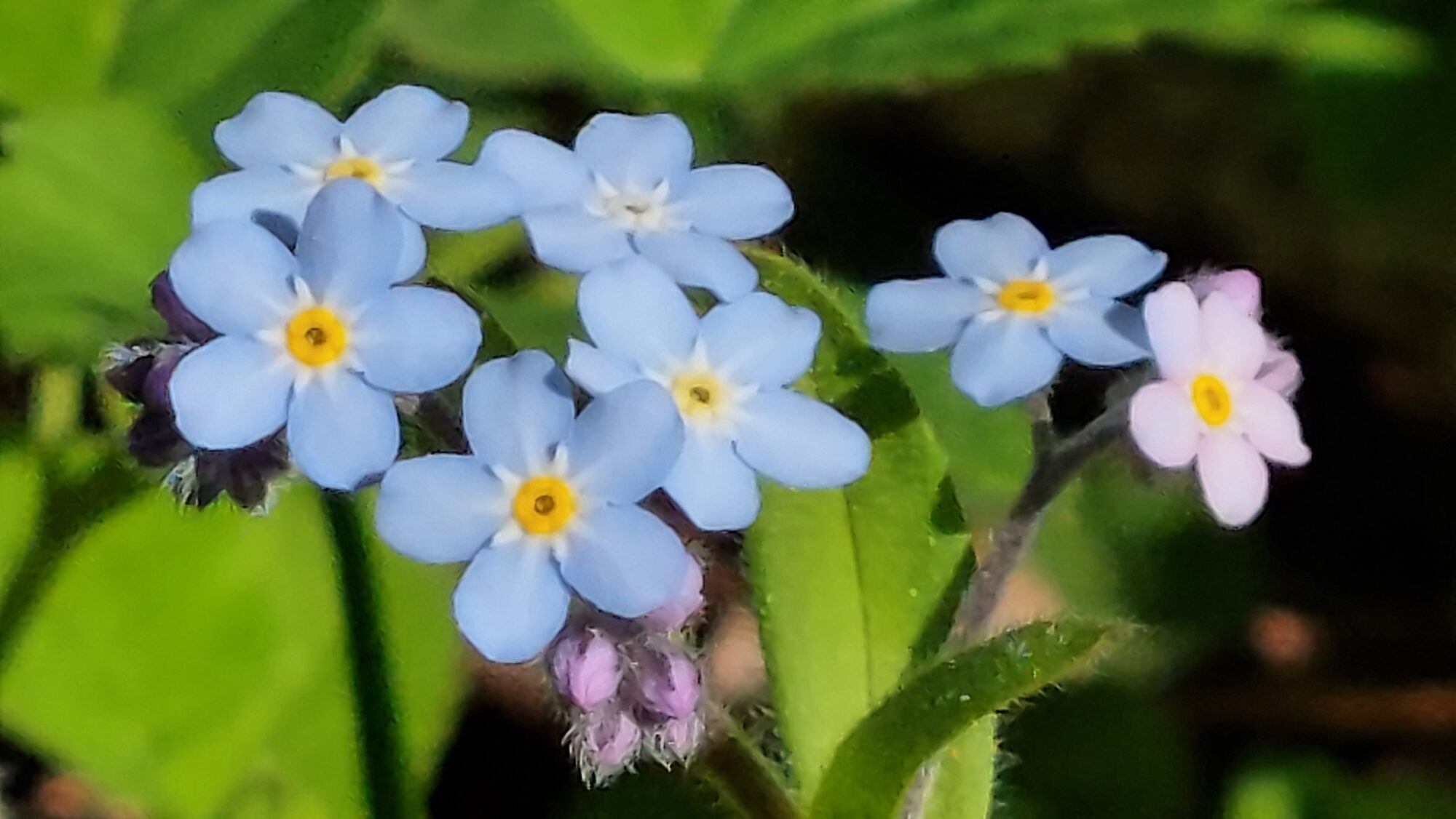 Valokuvaaja: Tarja Naukkarinen