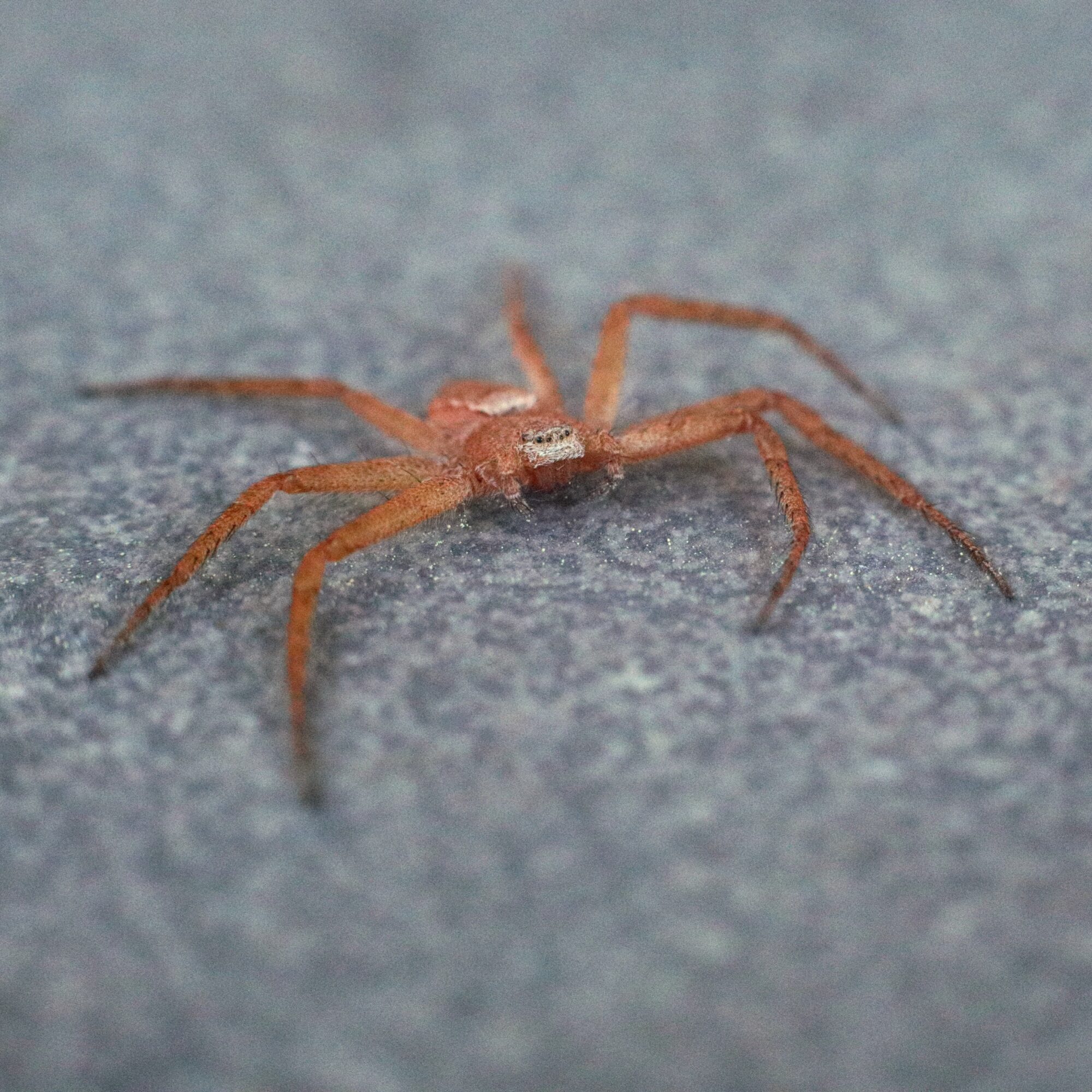 Valokuvaaja: Pasi Lähde