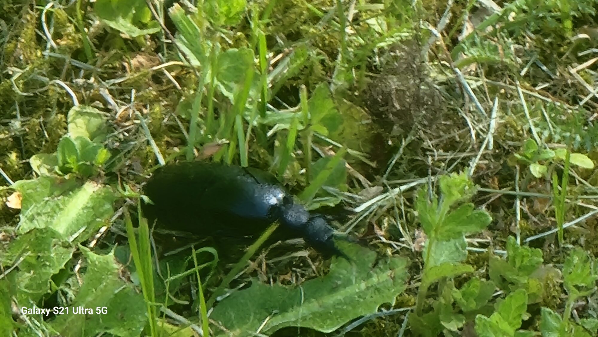 Valokuvaaja: Veikka Ticka