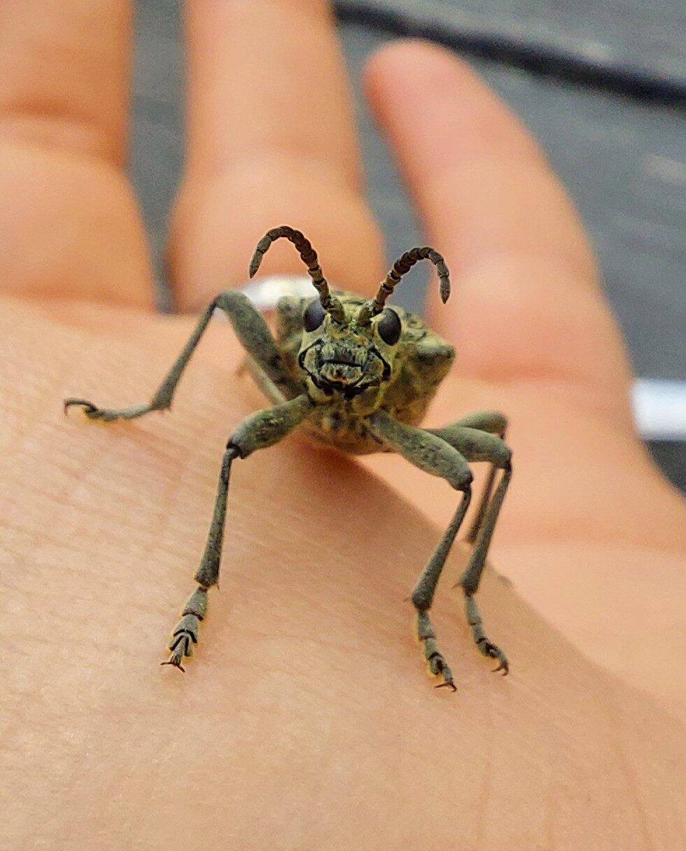 Valokuvaaja: Niina Leppänen