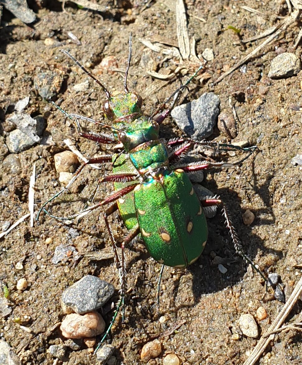Valokuvaaja: Anu Lapinlampi