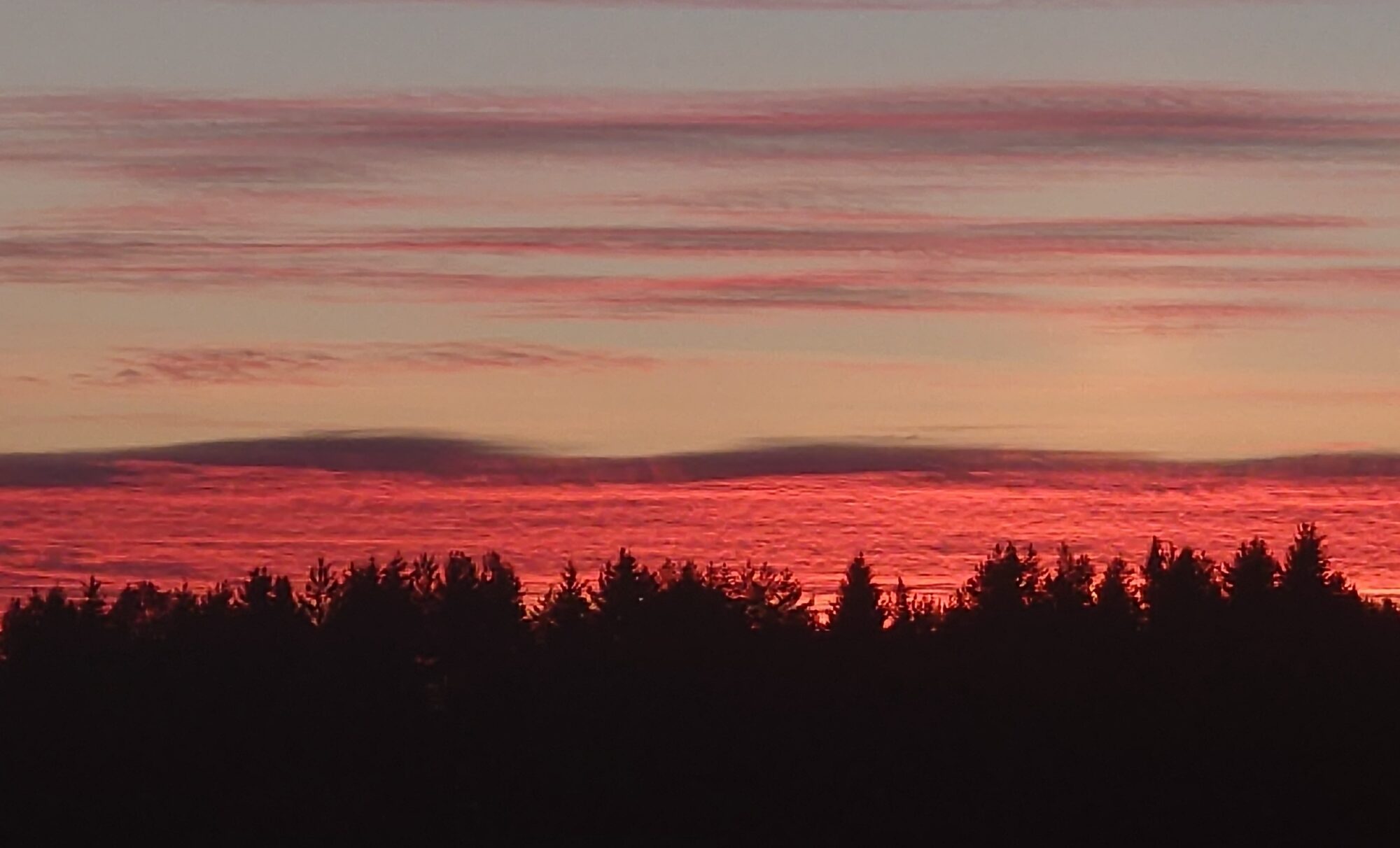 Valokuvaaja: Jouni Roppola.