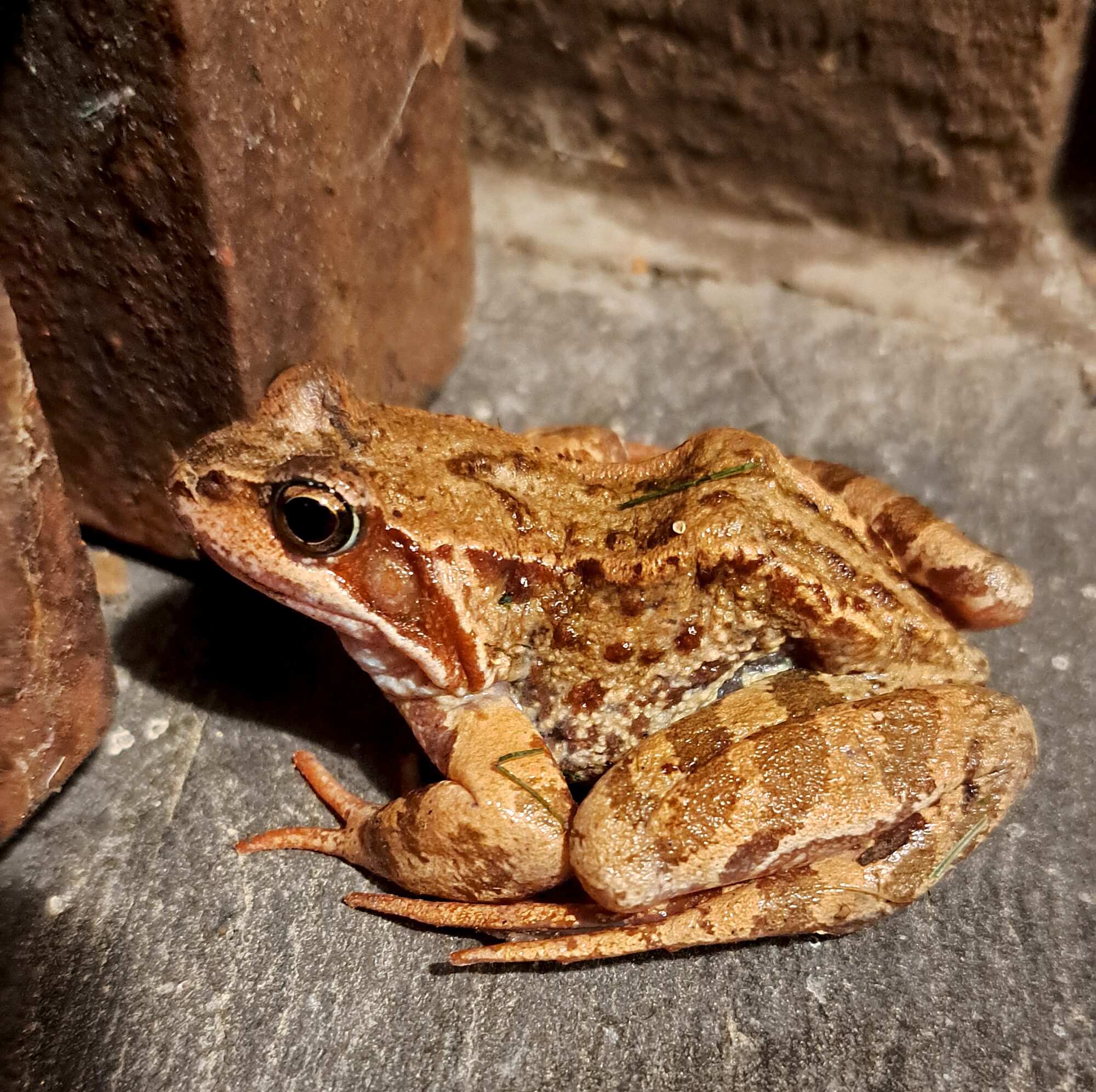 Valokuvaaja: Irja Lehtinen