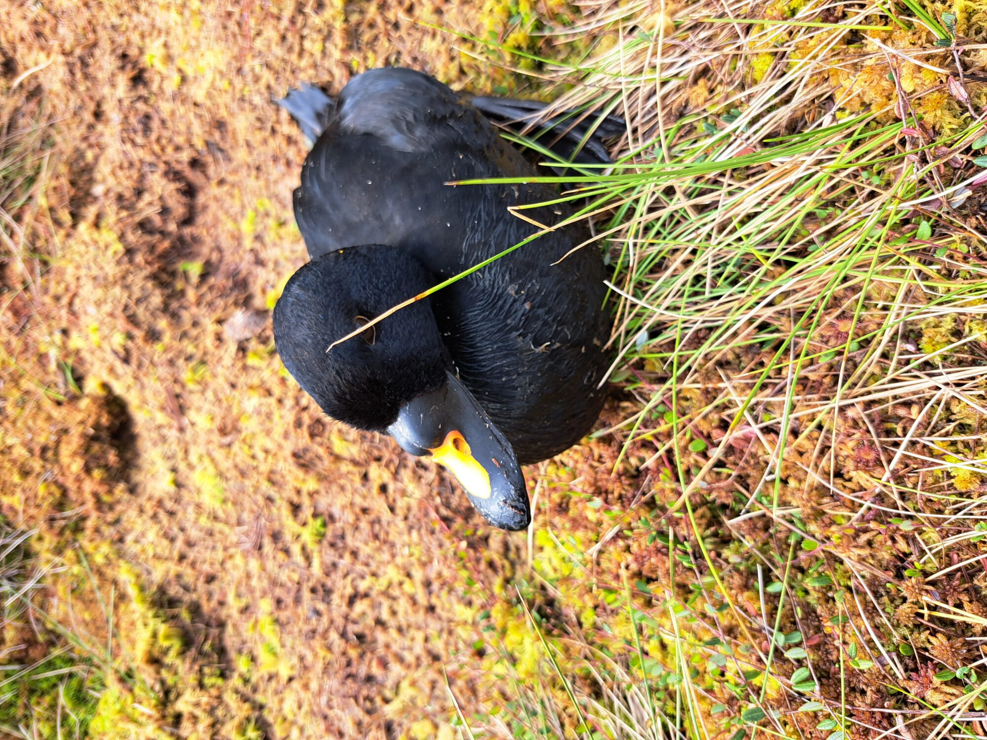 Valokuvaaja: sauli salminen