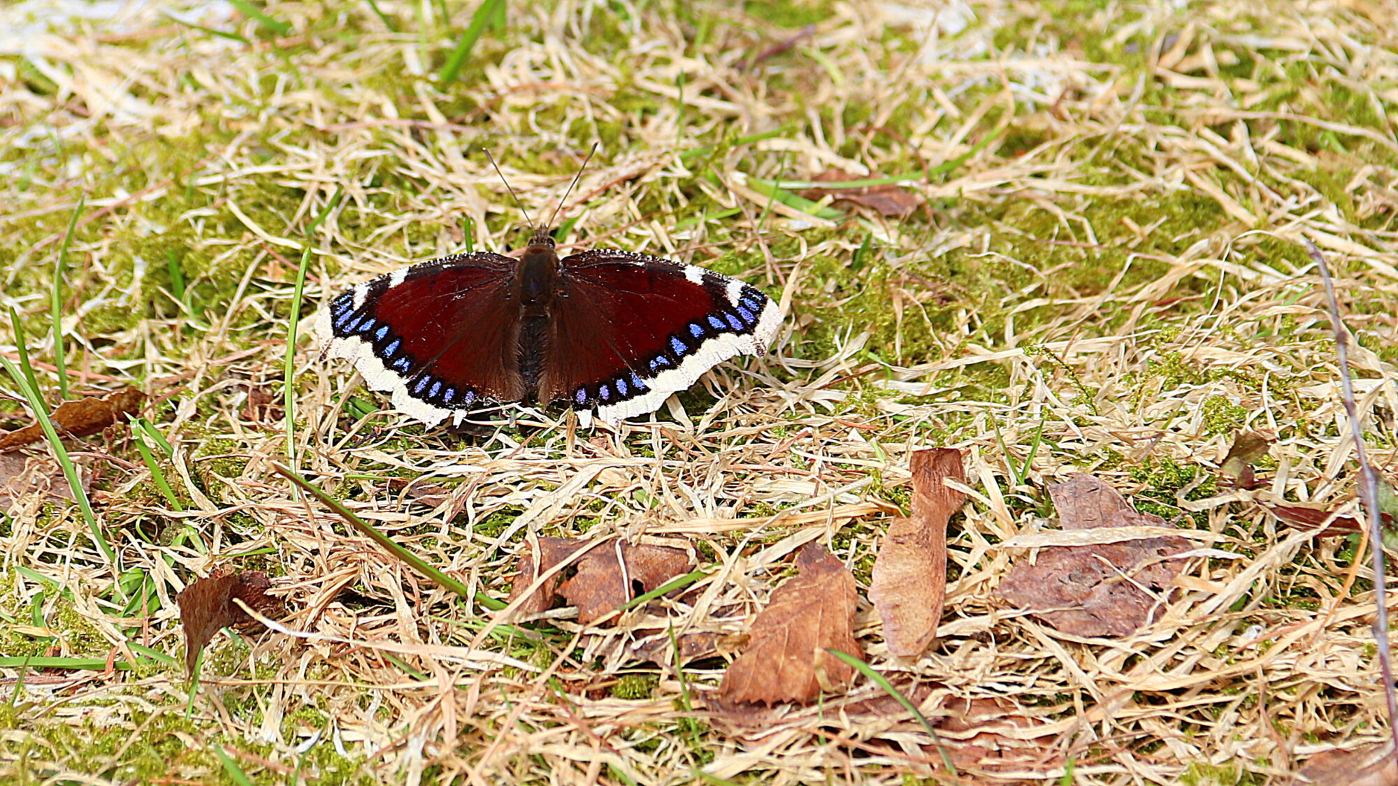 Valokuvaaja: sirpa Jyske