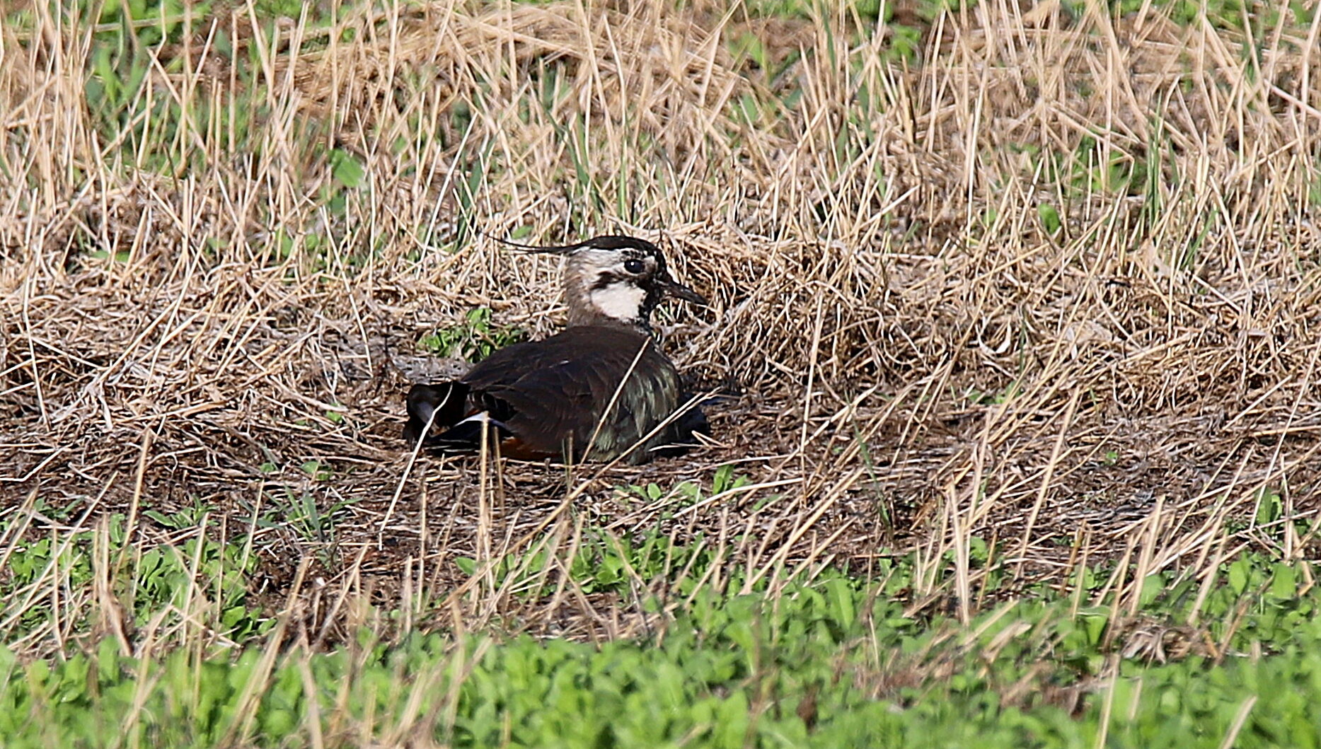 Valokuvaaja: sirpa Jyske Valokuvaaja: sirpa Jyske