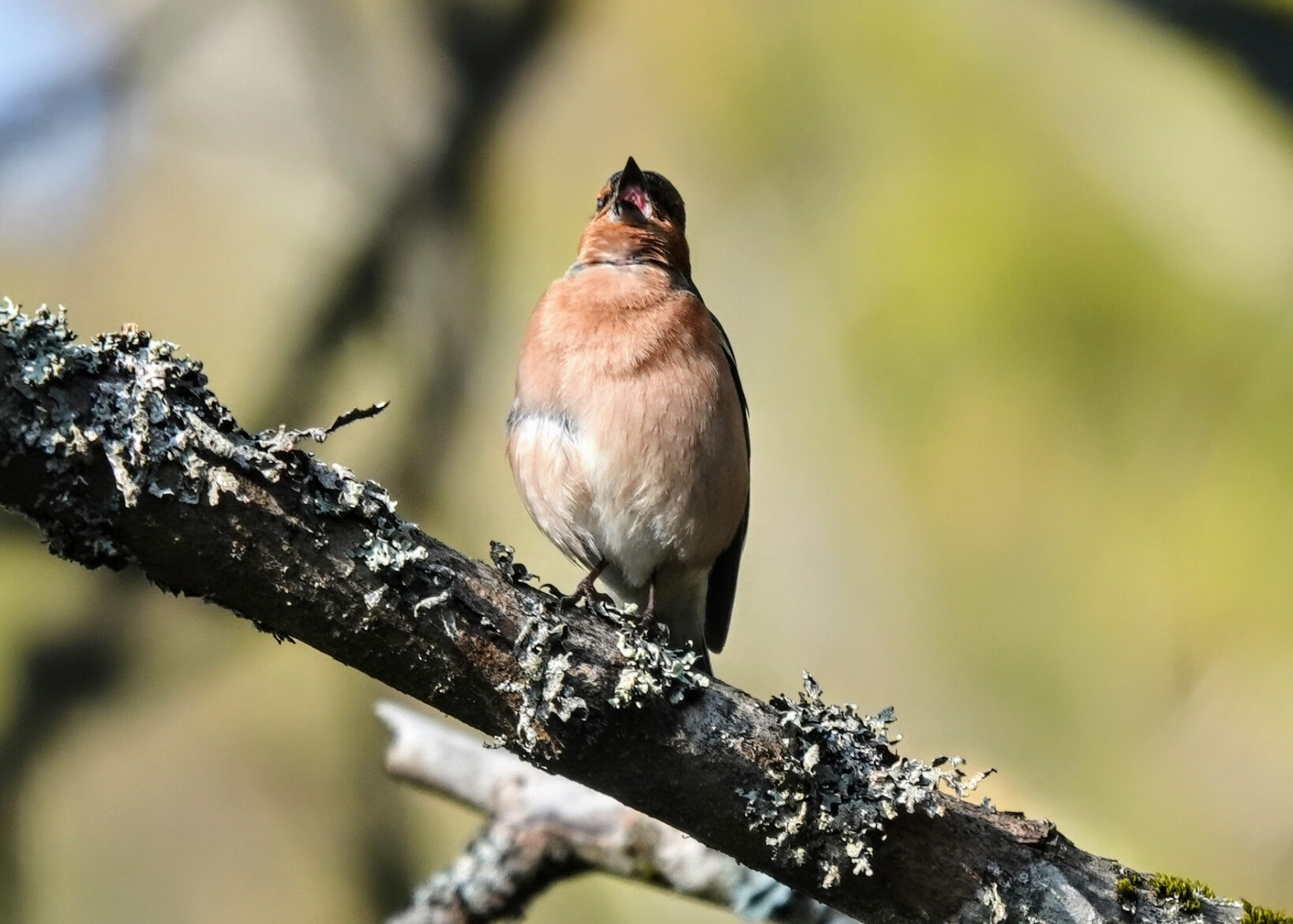 Valokuvaaja: Pekka Heino