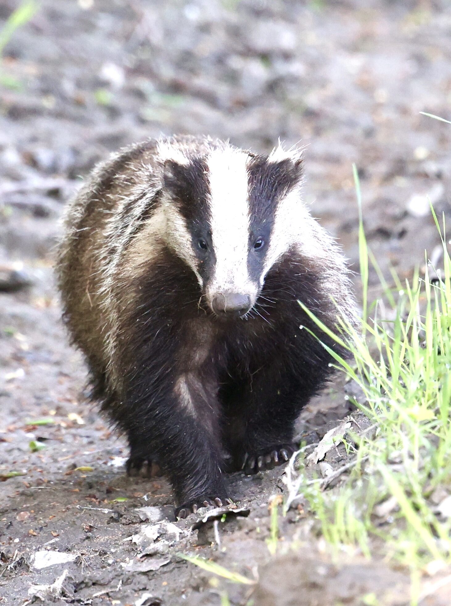 Valokuvaaja: Jukka Henriksson
