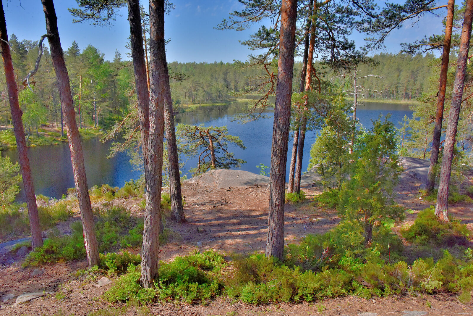 Valokuvaaja: Reijo Juurinen