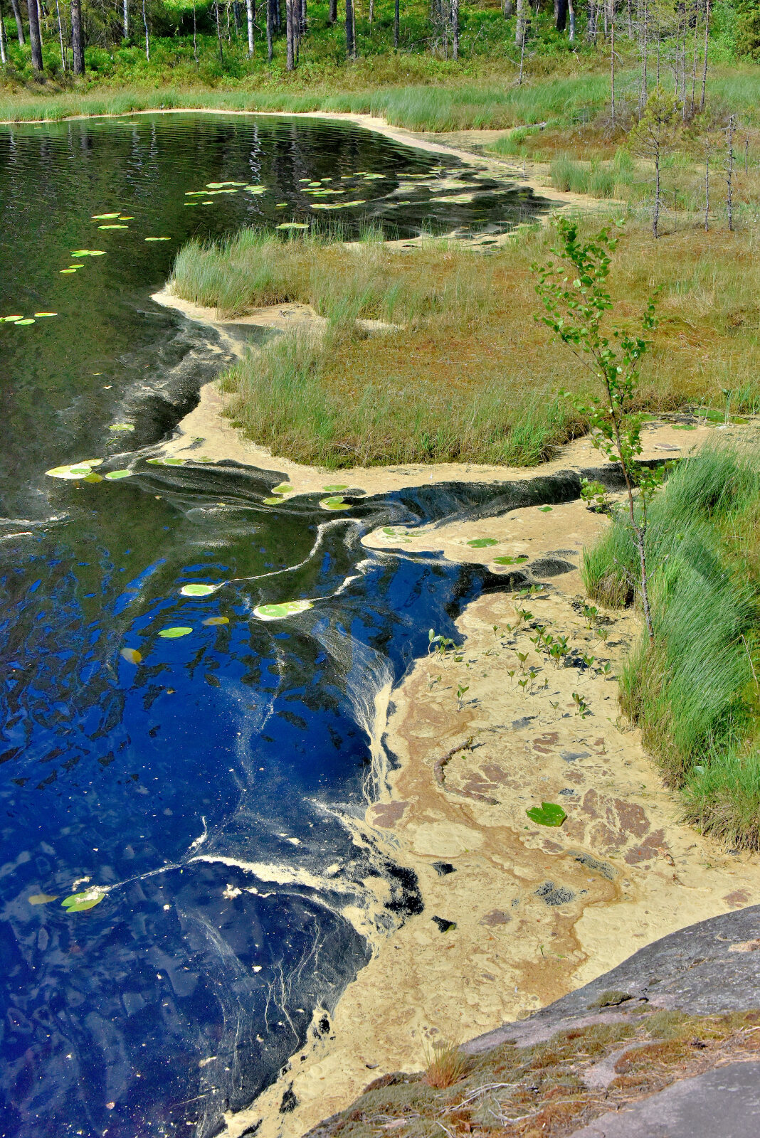 Valokuvaaja: Reijo Juurinen