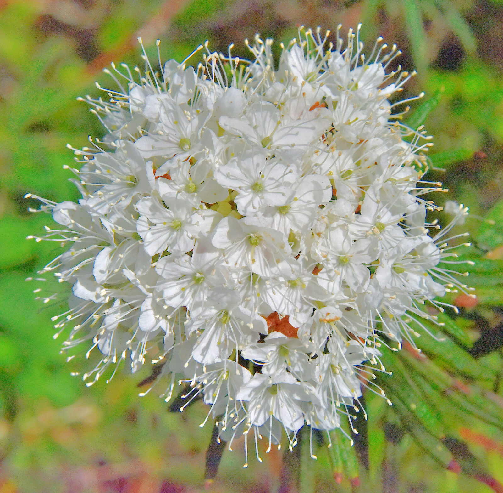 Valokuvaaja: Reijo Juurinen