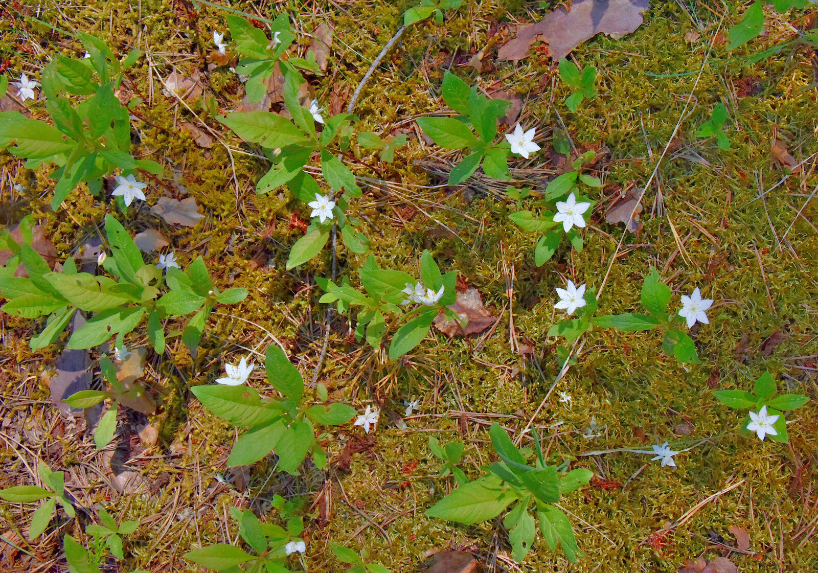 Valokuvaaja: Reijo Juurinen
