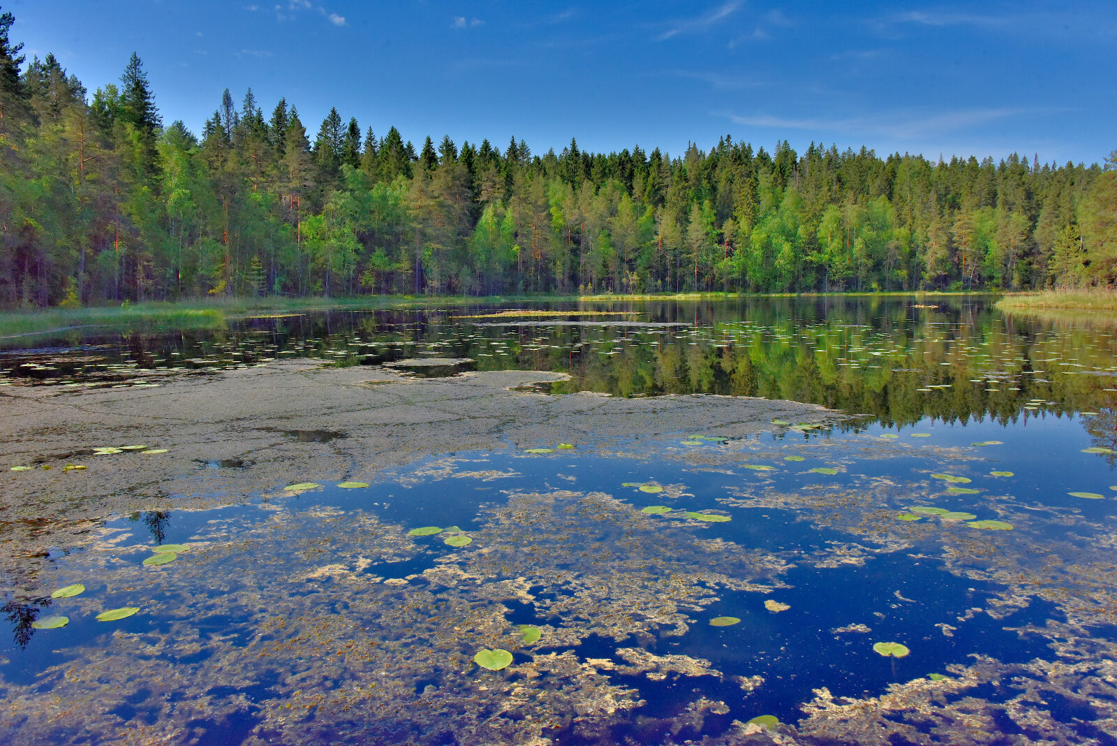 Valokuvaaja: Reijo Juurinen